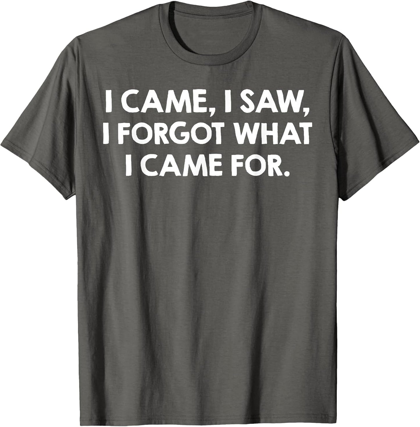 I Came I Saw I Forgot What I Came for