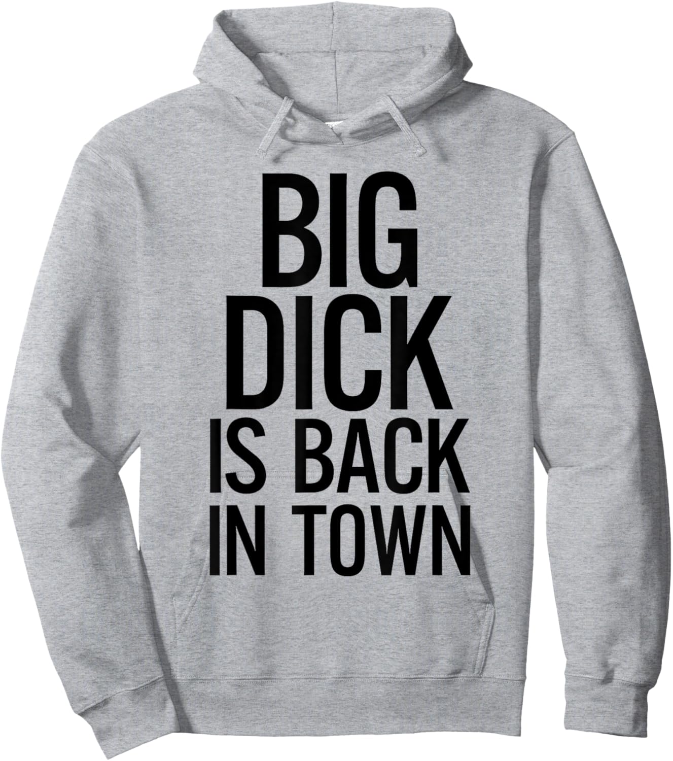Big Dick Is Back In Town Funny Humor Sarcasm Hoodie - Hoodie | Ash