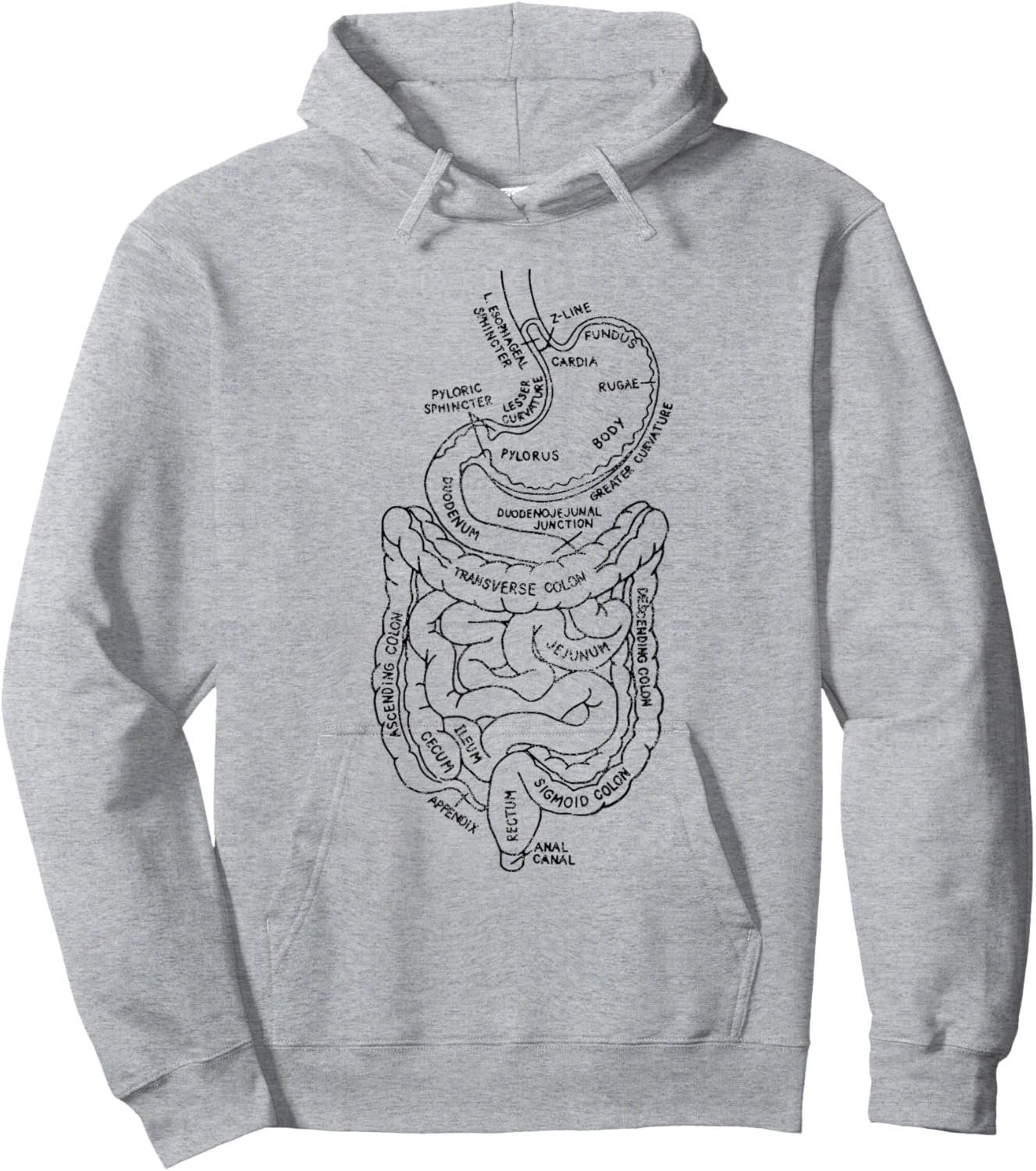 GI Tract Digestive Tract Anatomy GI Tract Anatomy Gastroent Hoodie - Hoodie | Ash