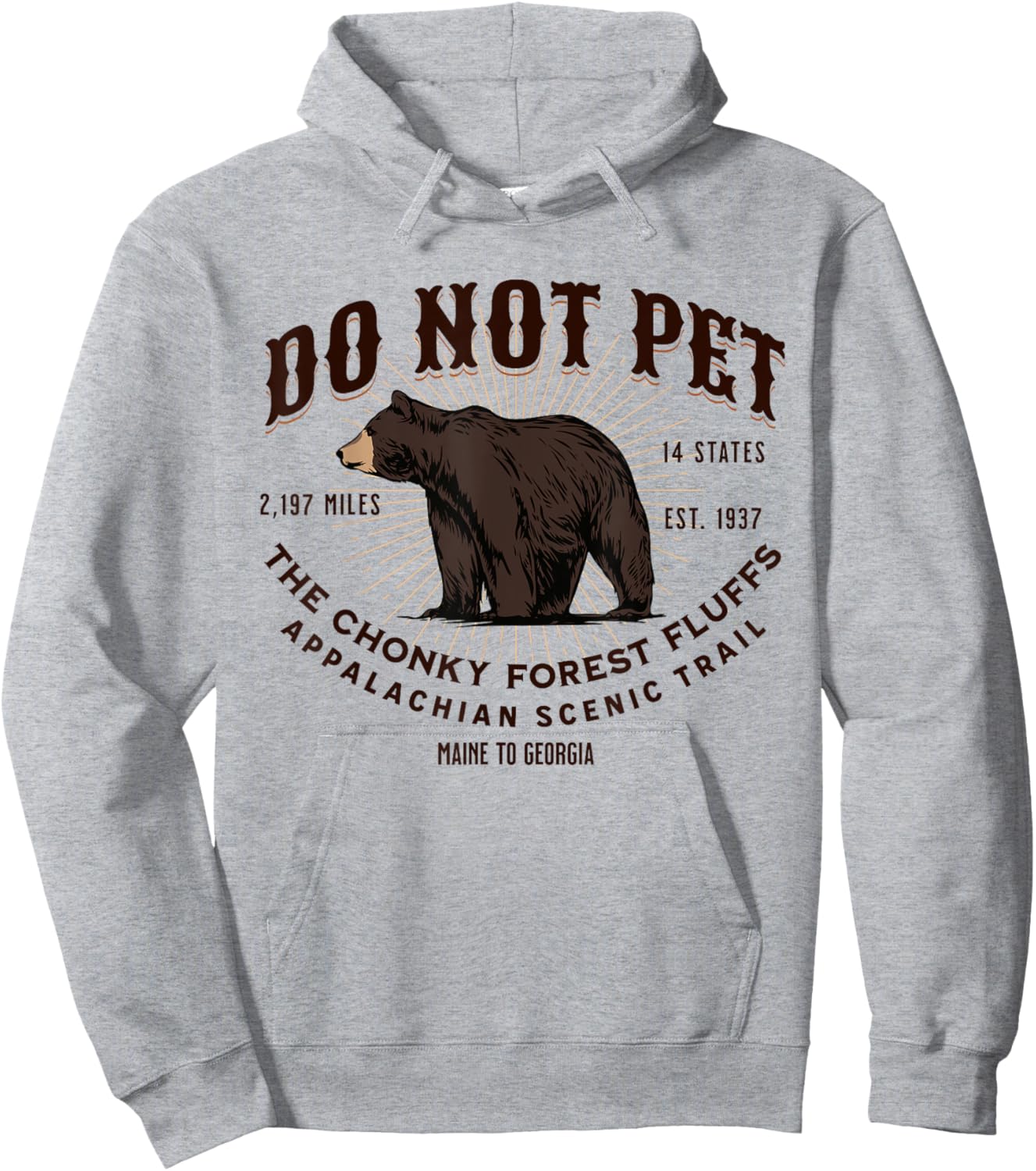 Appalachian Trail Scenic Hiking Black Bear Funny Souvenir Hoodie - Hoodie | Ash