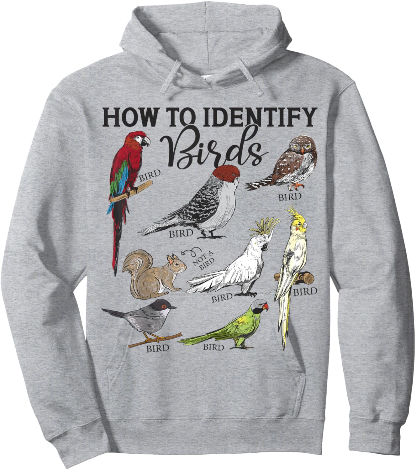 How To Identify Birds Squirrel Funny Bird Watching Birding Hoodie - Hoodie | Ash