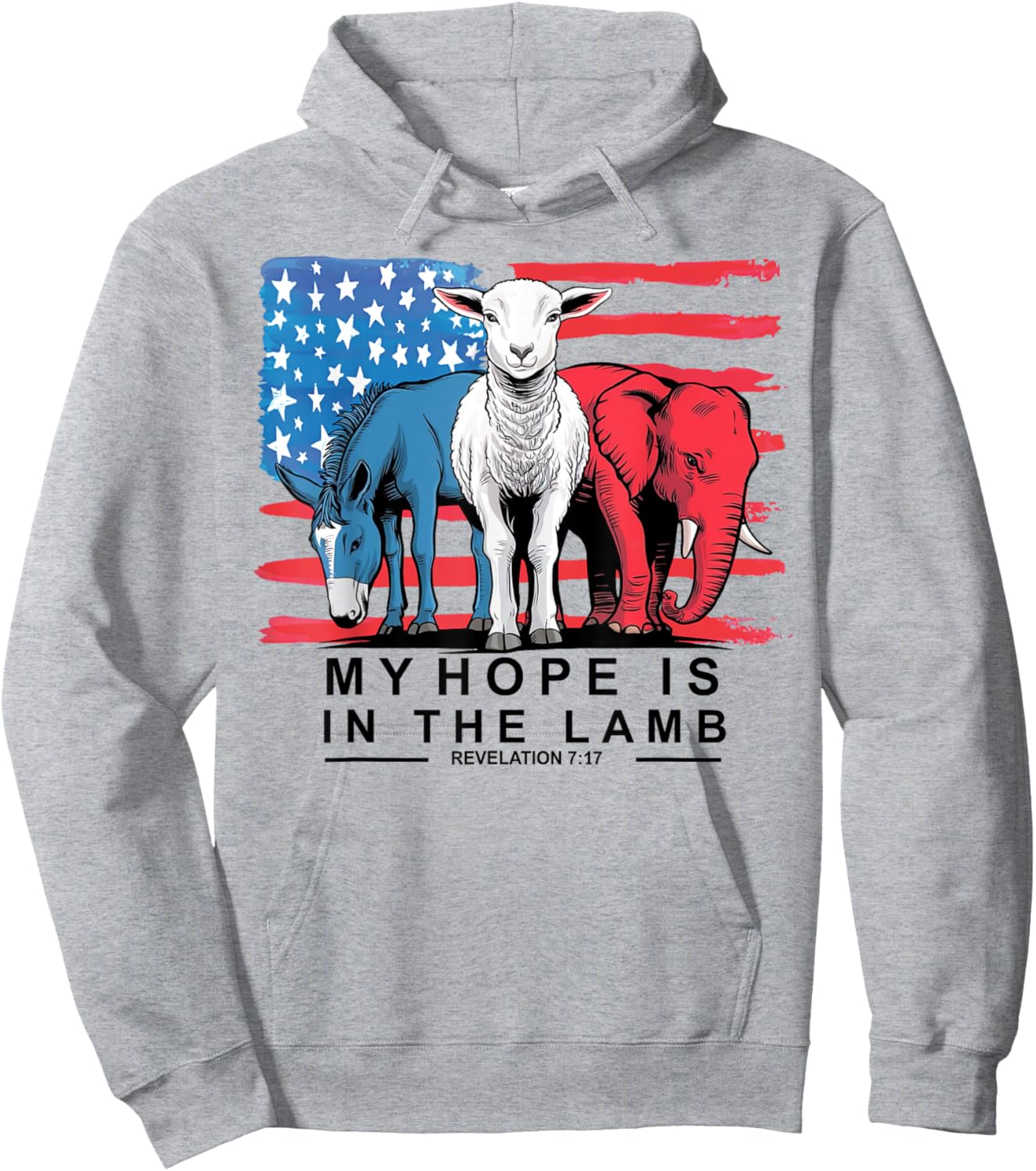 My Hope Is In The Lamb Christian Political Jesus 2024 Hoodie - Hoodie | Ash