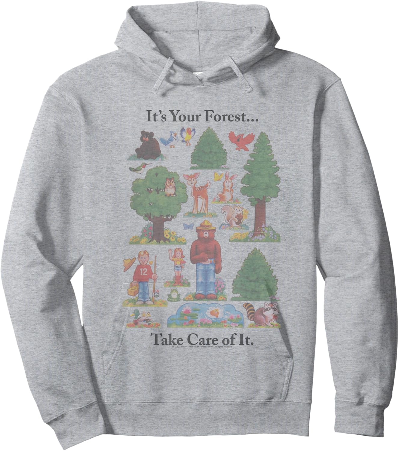 Smokey Bear It's Your Forest Take Care Of It Vintage Style Hoodie - Hoodie | Ash