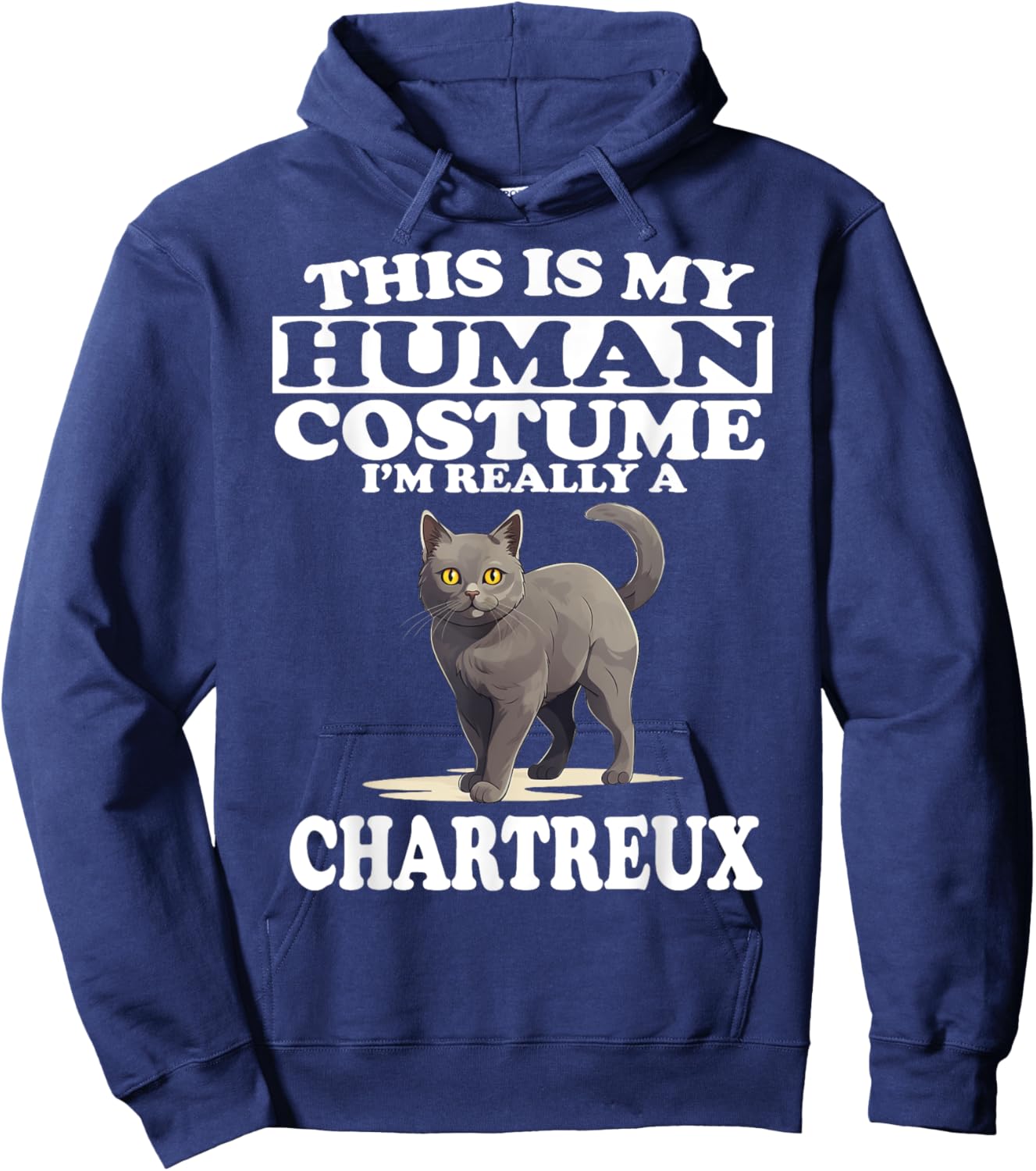 This is My Human Costume I'm Really A Chartreux Cat Hoodie - Hoodie | Navy