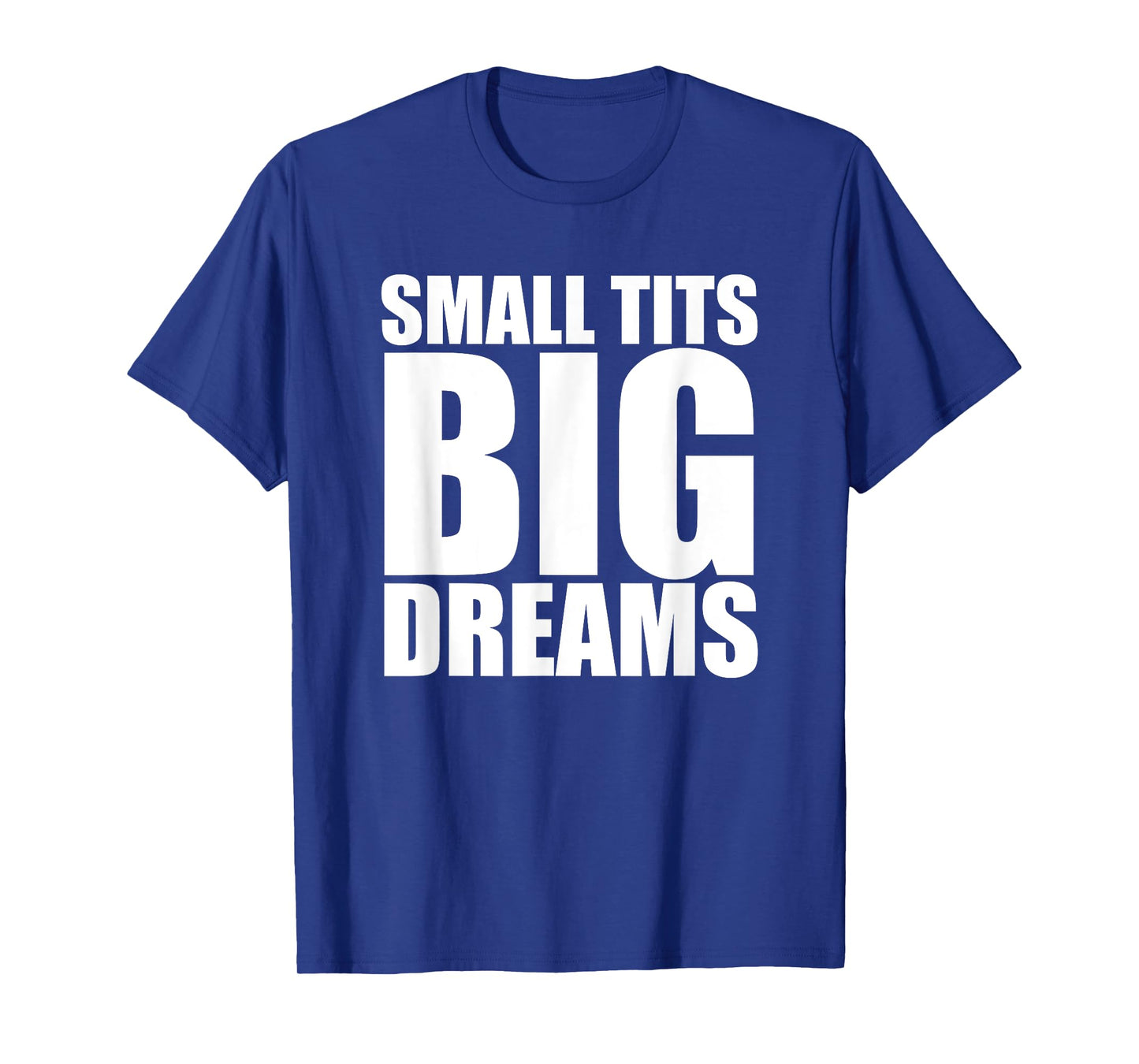 Small Tits Big Dreams Funny Women's Raunchy T-Shirt