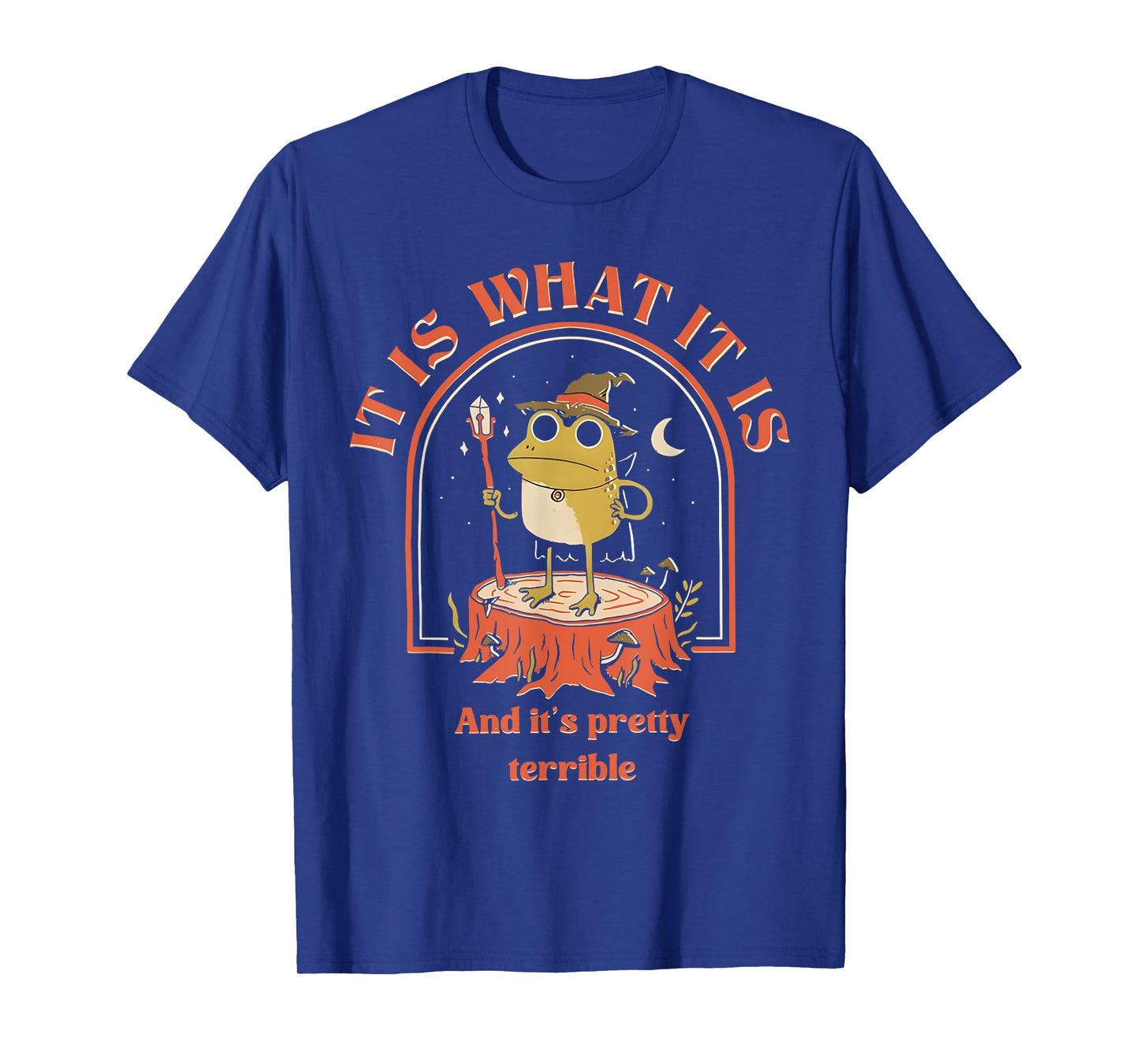 It Is What It Is And It's Pretty Terrible Frog Meme T-Shirt