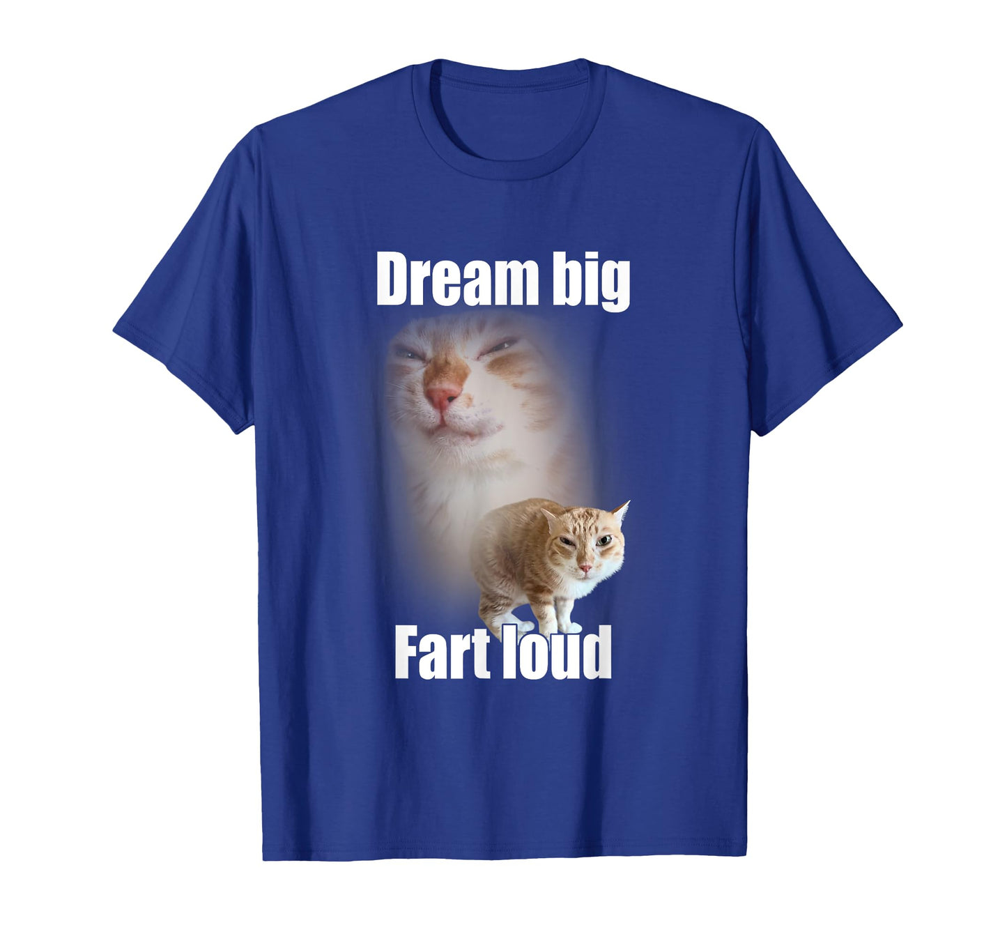 Dream Big Fart Loud Cat Meme Funny Saying Men Women T-Shirt