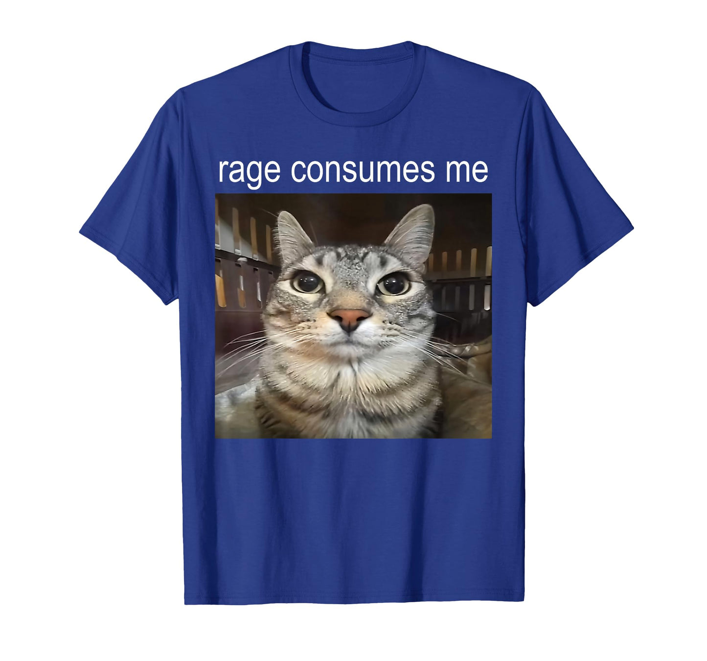Funny Cat Meme Quote Retro Cat Lover Rage Consumes Me T-Shirt