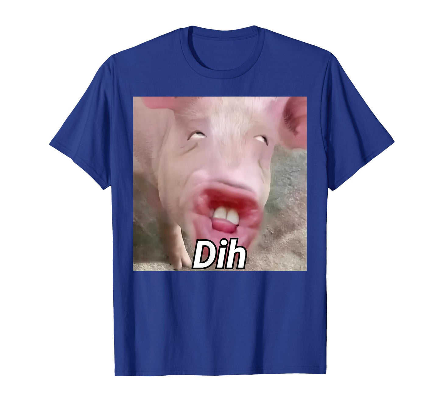 funny dih brainrot gen z humor pork meme dihh meme gen alpha T-Shirt