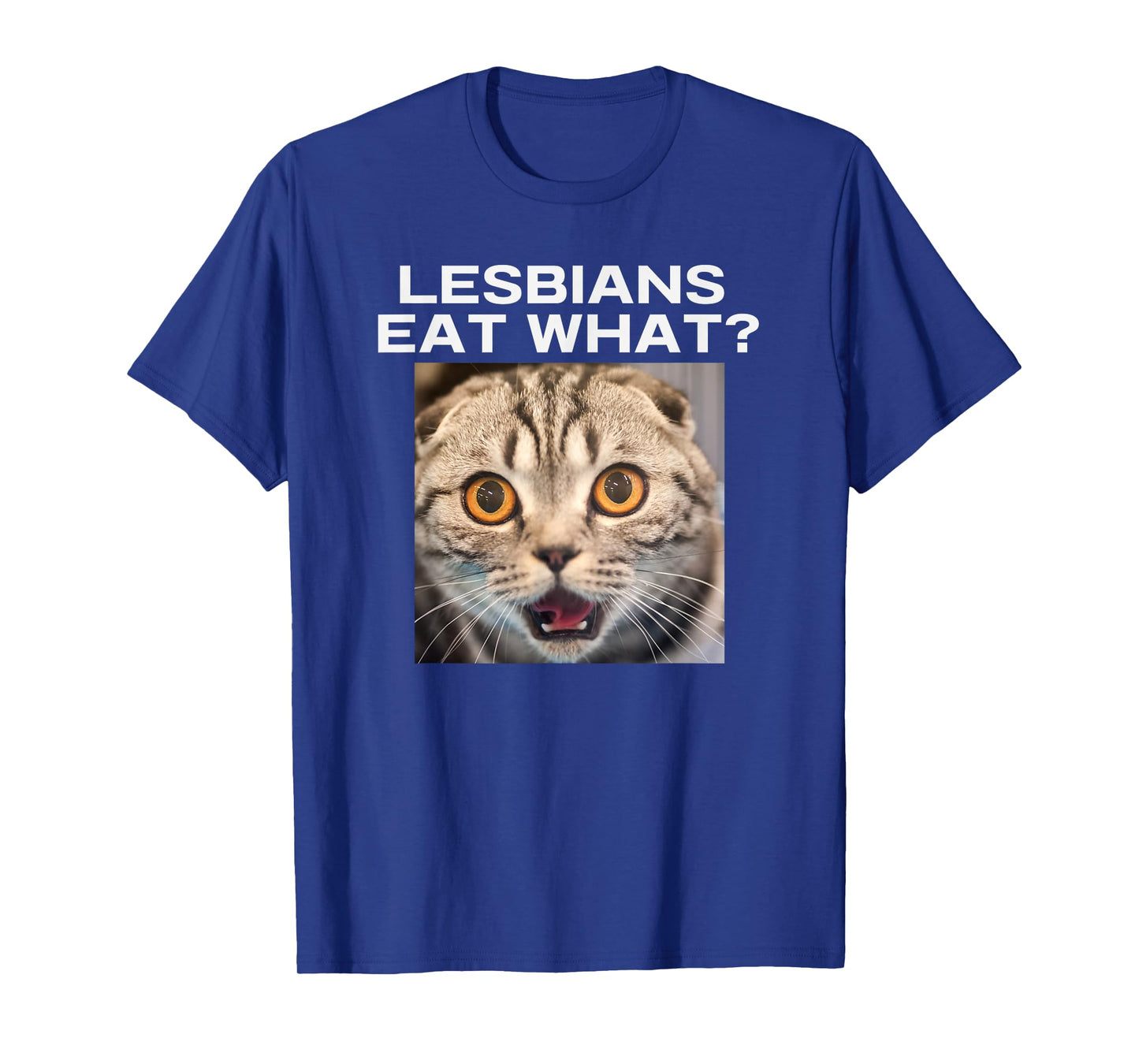 Lesbians Eat What Adult Humor Pun Gag Funny Statement Joke T-Shirt