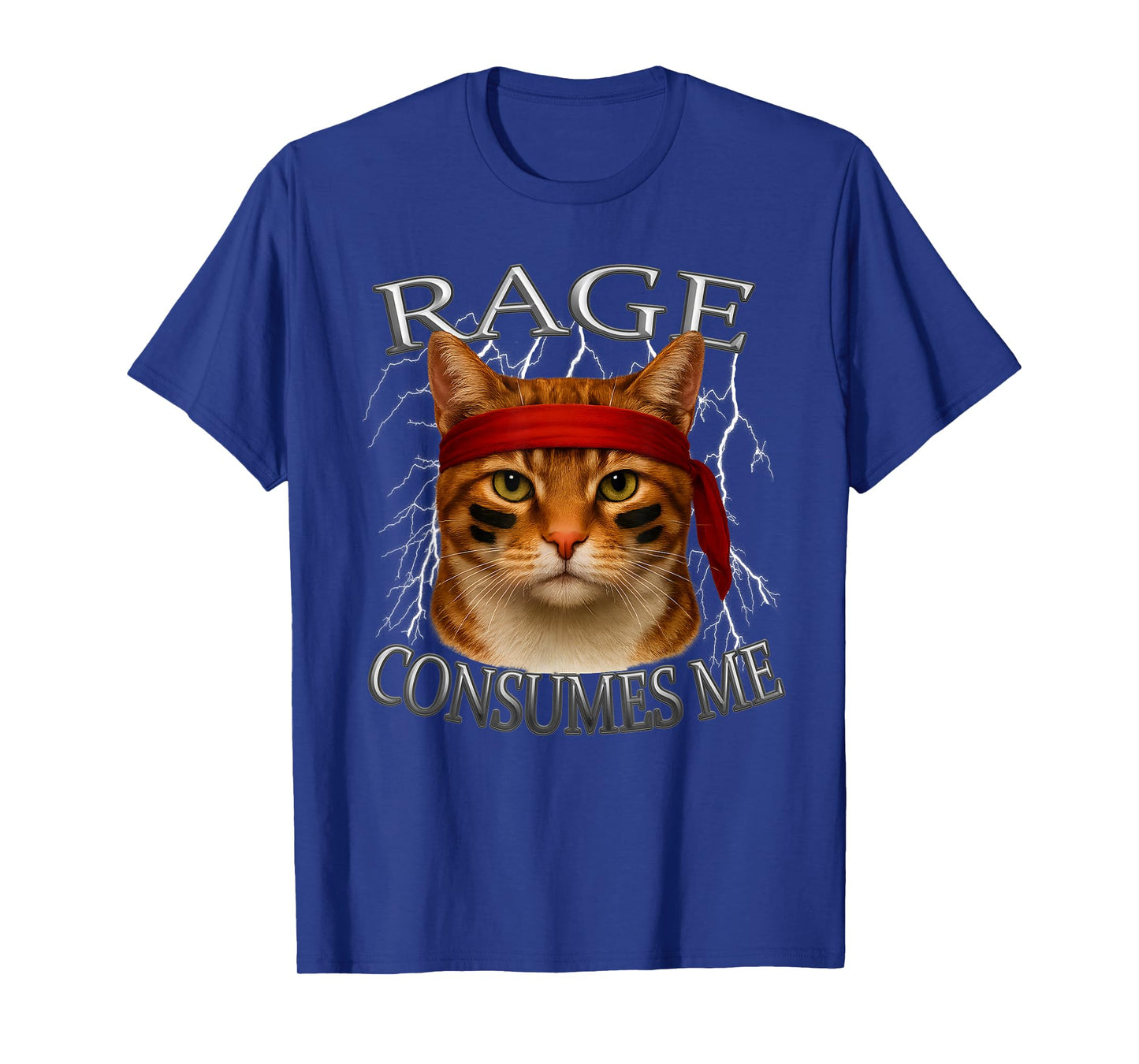 Orange Tabby Cat Meme Internet Sarcastic Rage Consumes Me T-Shirt