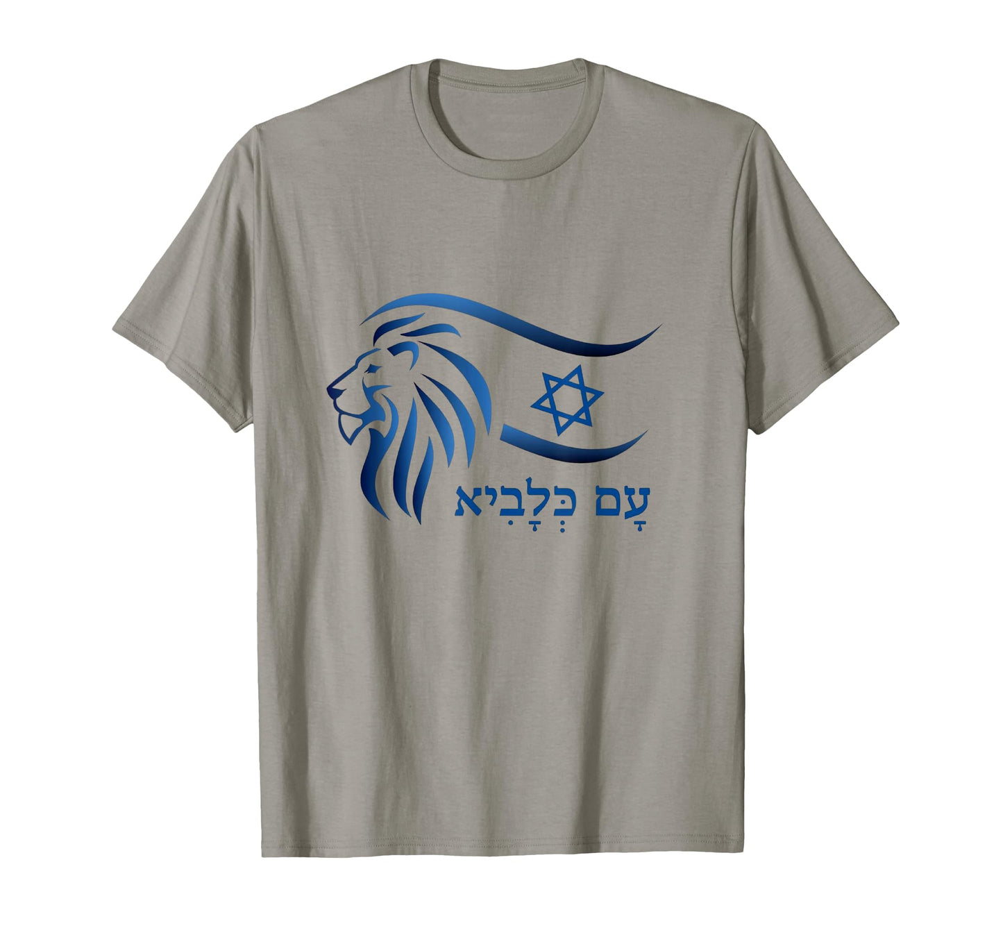 Rising Lion Nation Of Israel Jewish Bible Am Israel Chai T-Shirt