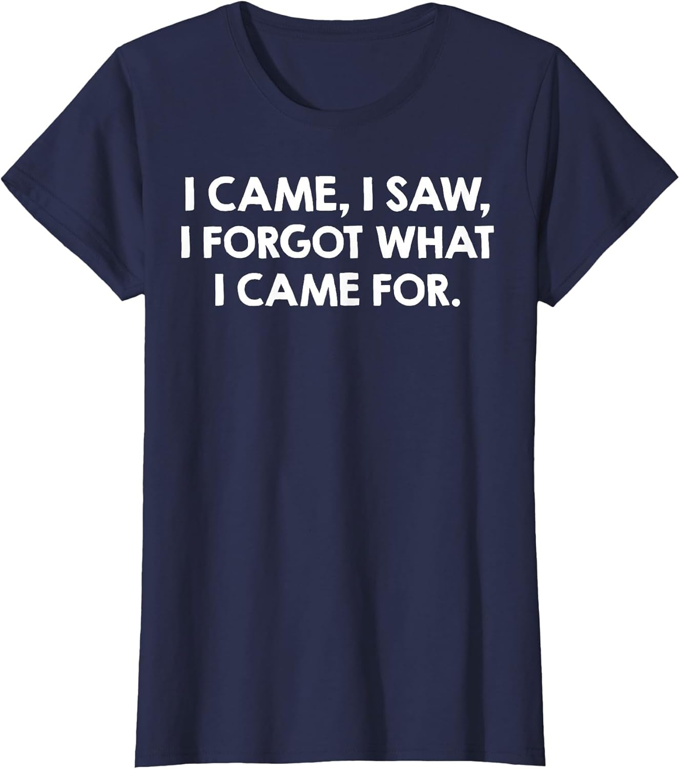 I Came I Saw I Forgot What I Came for
