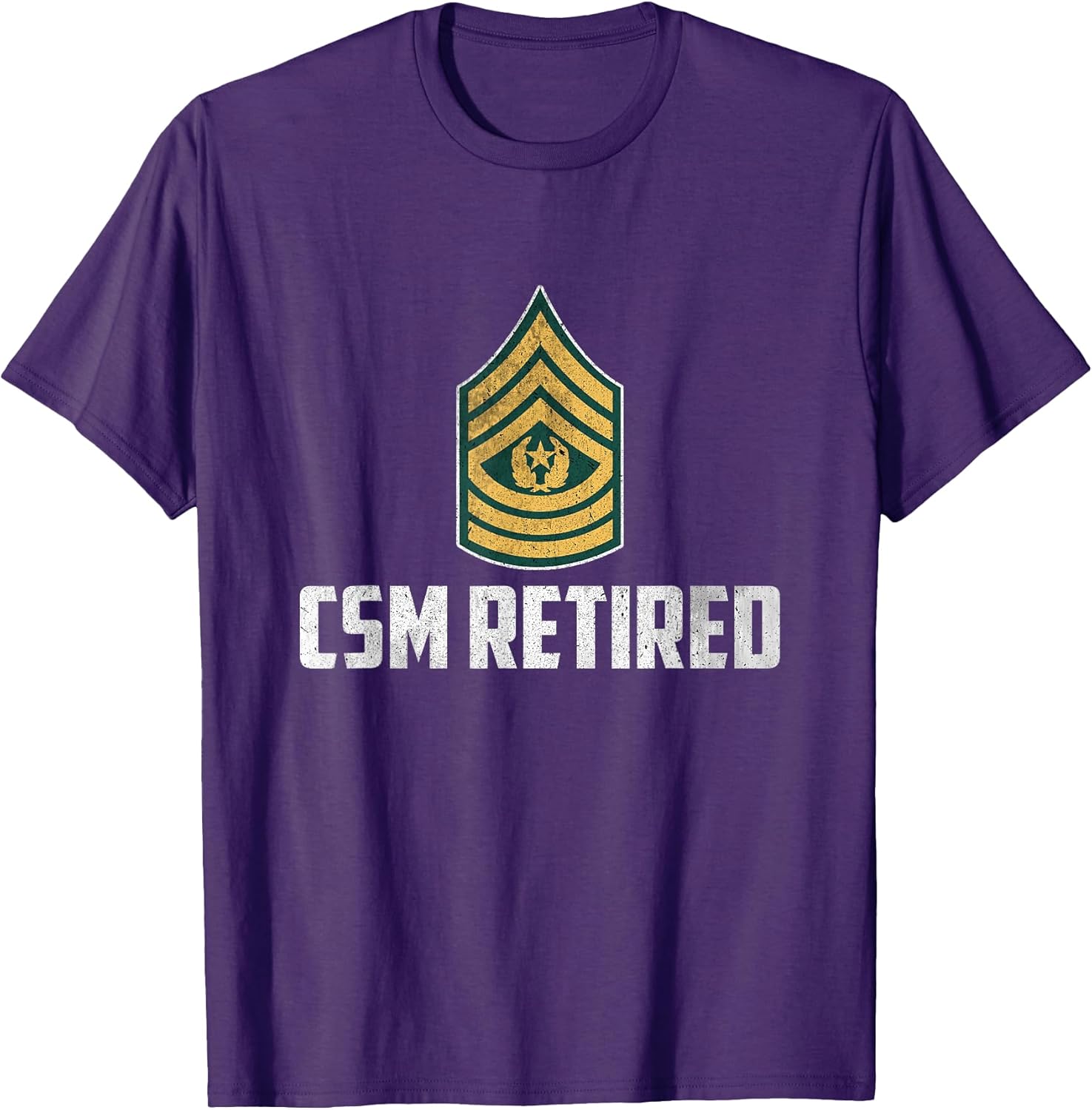Retired E-9 Command Sergeant Major CSM Rank Military Papa