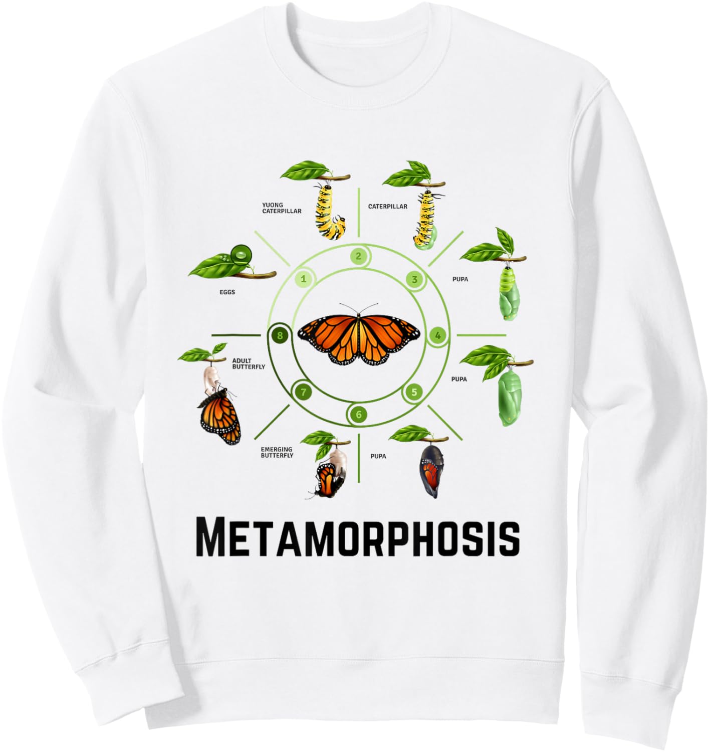 Funny Caterpillar Lifecycle Metamorphosis Monarch Butterfly Sweatshirt - Sweatshirt | White