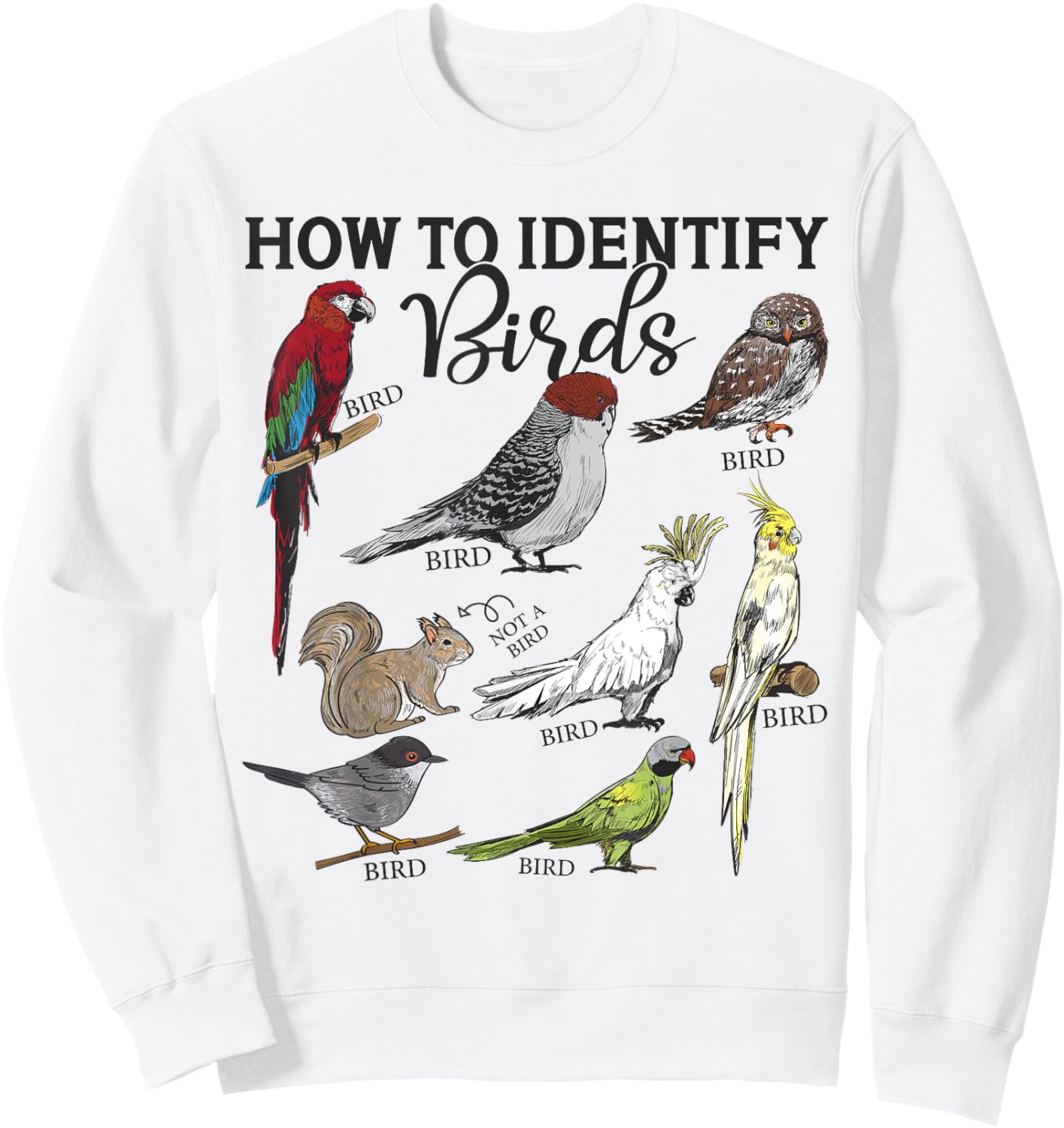 How To Identify Birds Squirrel Funny Bird Watching Birding Sweatshirt - Sweatshirt | White