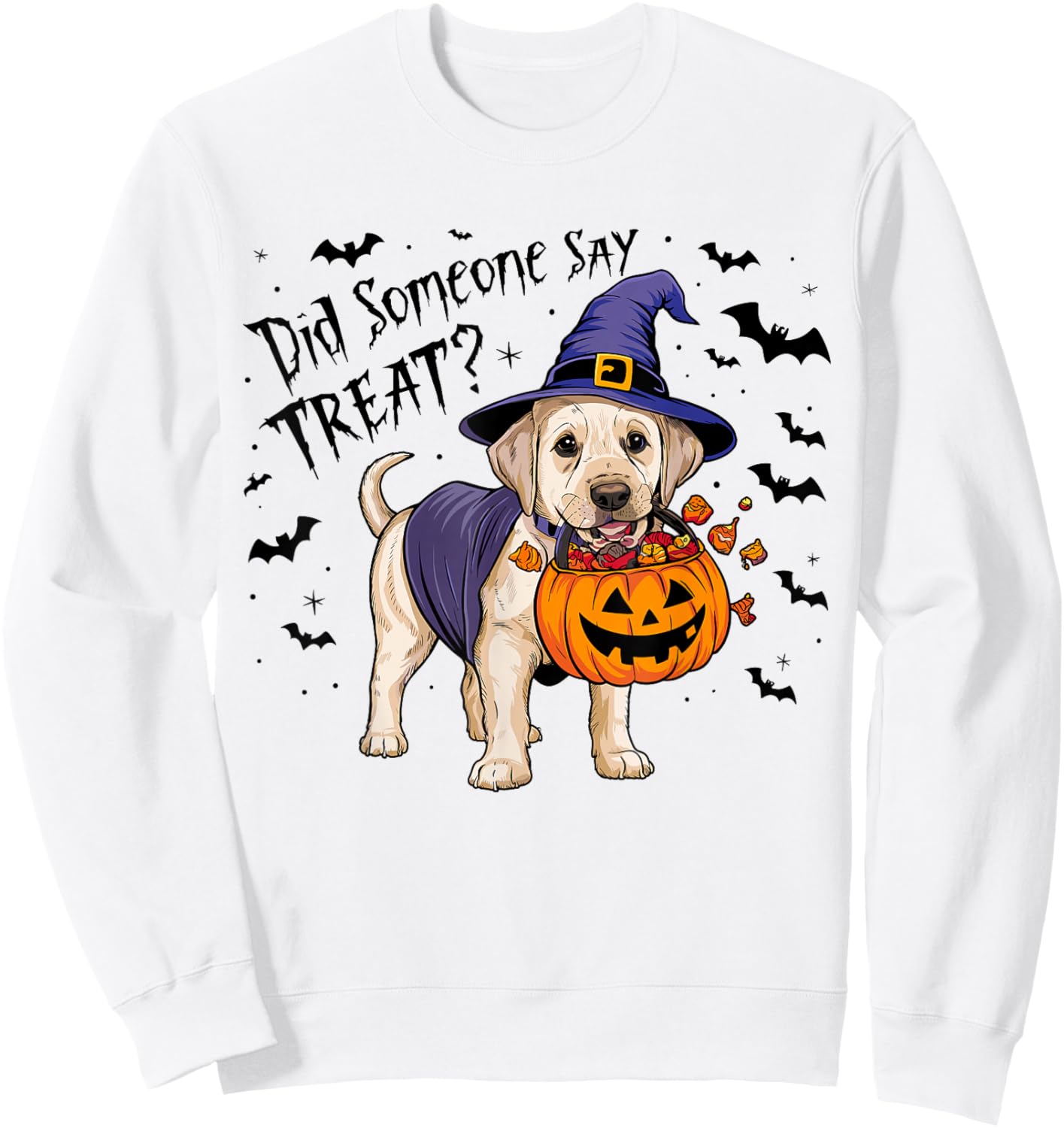 Did Someone Say Treat? Halloween Treat Labrador Witch Puppy Sweatshirt - Sweatshirt | White