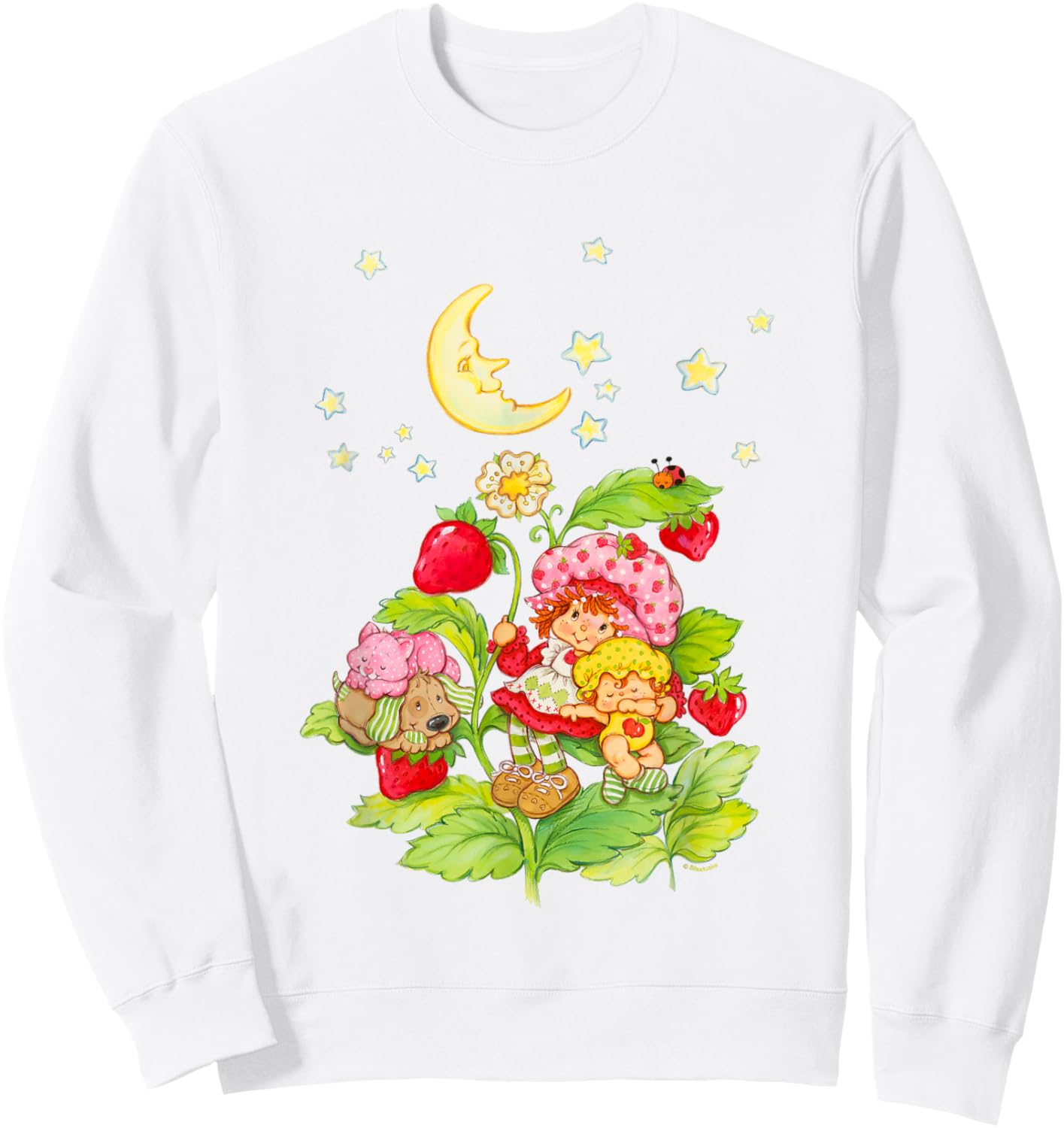 Strawberry Shortcake Cute Strawberry Garden Group Shot Logo Sweatshirt - Sweatshirt | White