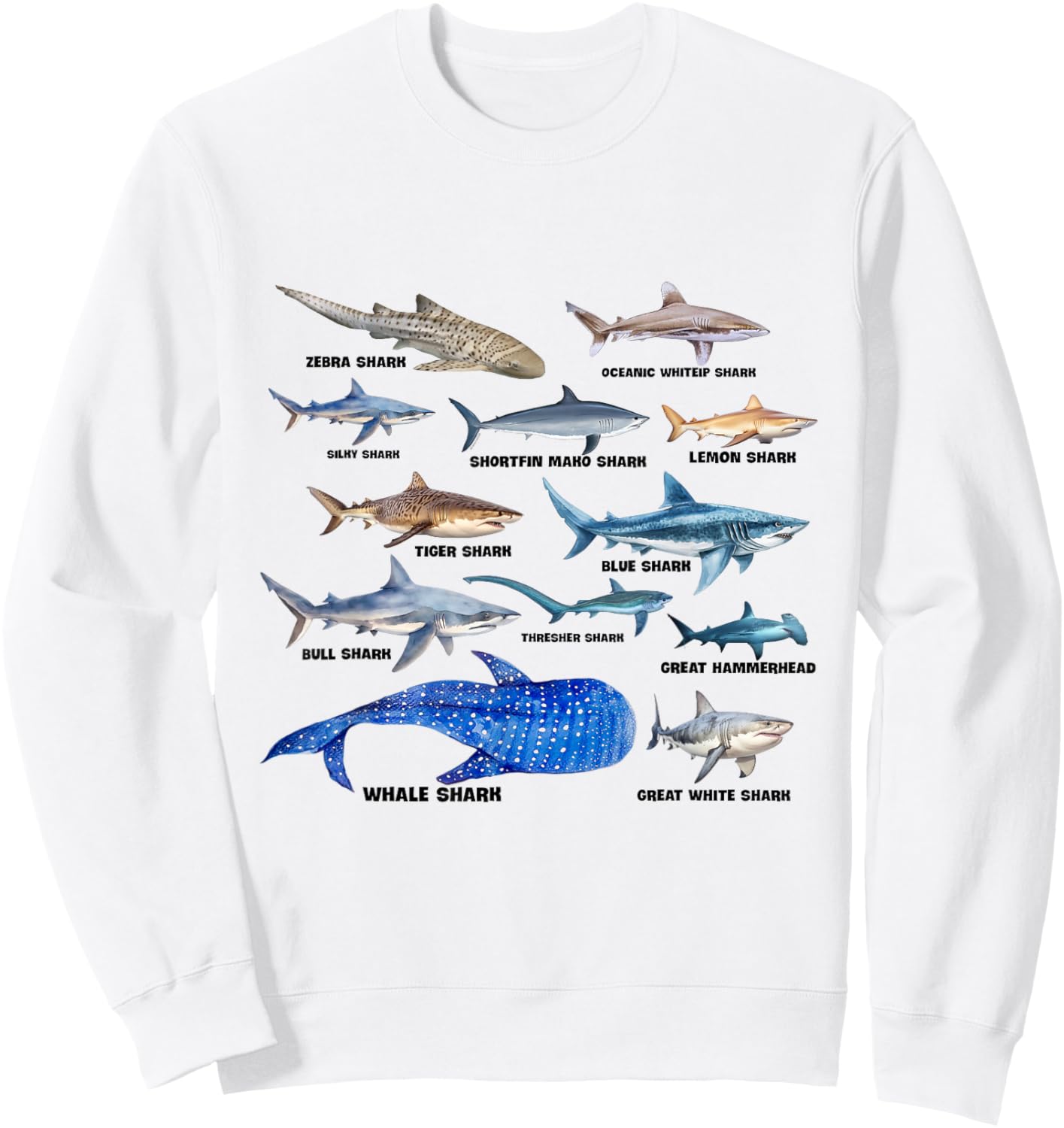 Bite Shark Species Guide Lovers Theme Shark Boy Men Sweatshirt - Sweatshirt | White