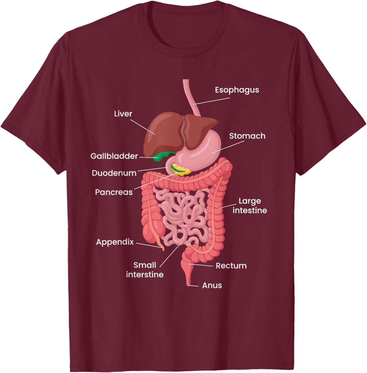 Biological Apparel -Adults Anatomy Digestive System Black Small Classic Short Sleeve T-Shirt - T-Shirt | Maroon