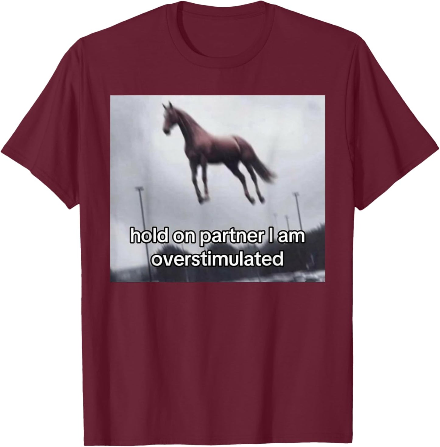 Vintage 1977 Groovy Hold On Partner I'm Overstimulated Western Horse - -Adults, Black, Small, Short Sleeve T-Shirt - T-Shirt | Maroon