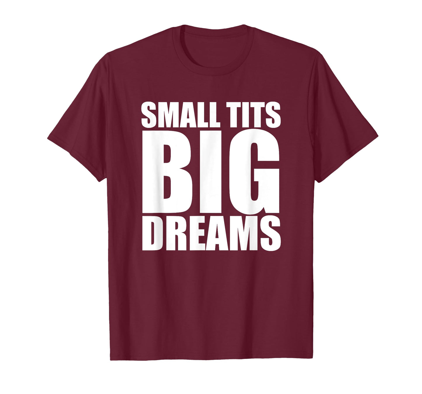 Small Tits Big Dreams Funny Women's Raunchy T-Shirt