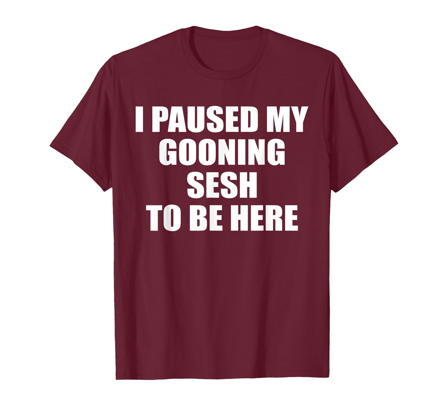 Funny Goon I Paused My Gooning Sesh To Be Here T-Shirt