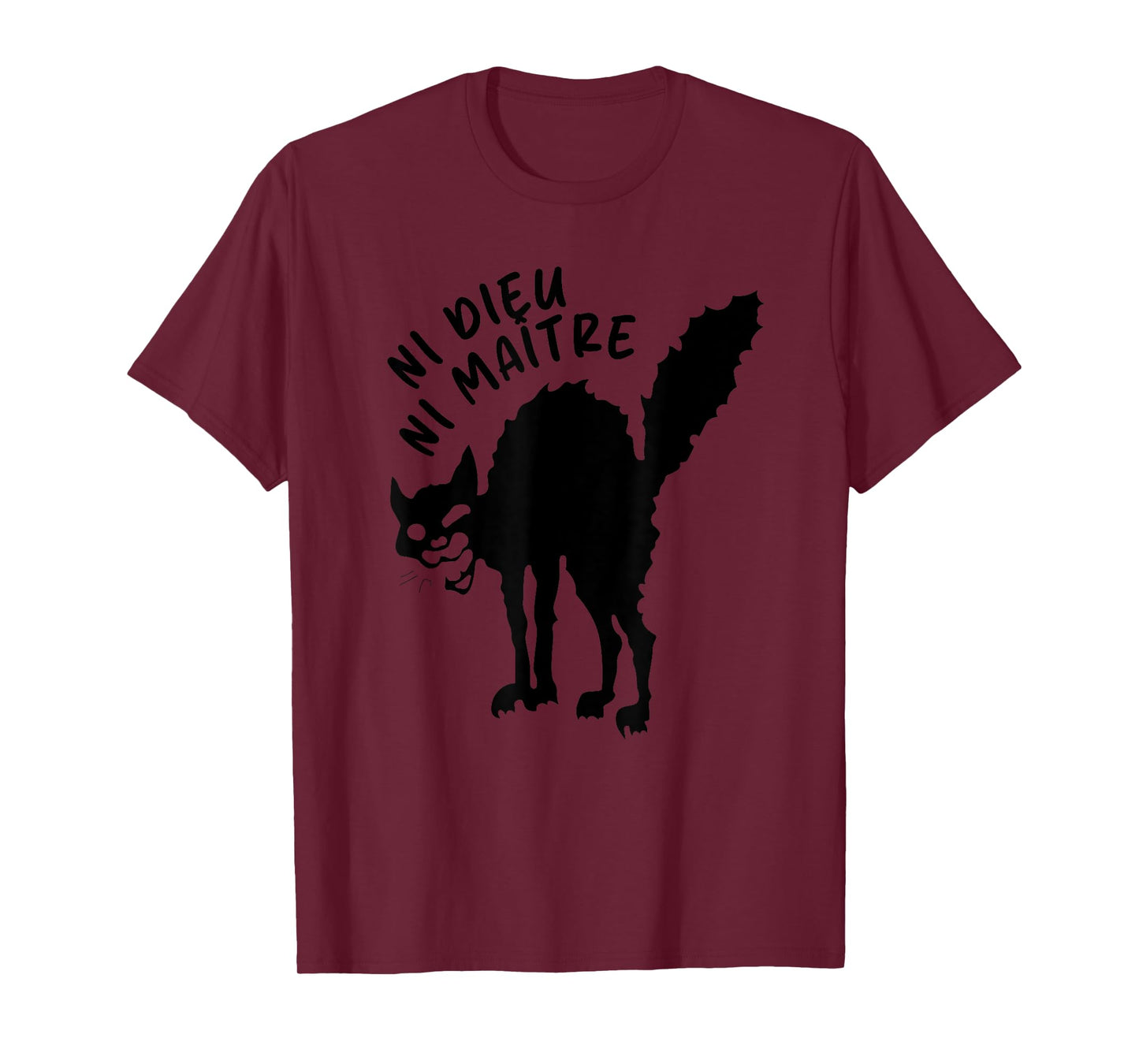 Neither God nor Master | Ni Dieu Ni Maitre T-Shirt