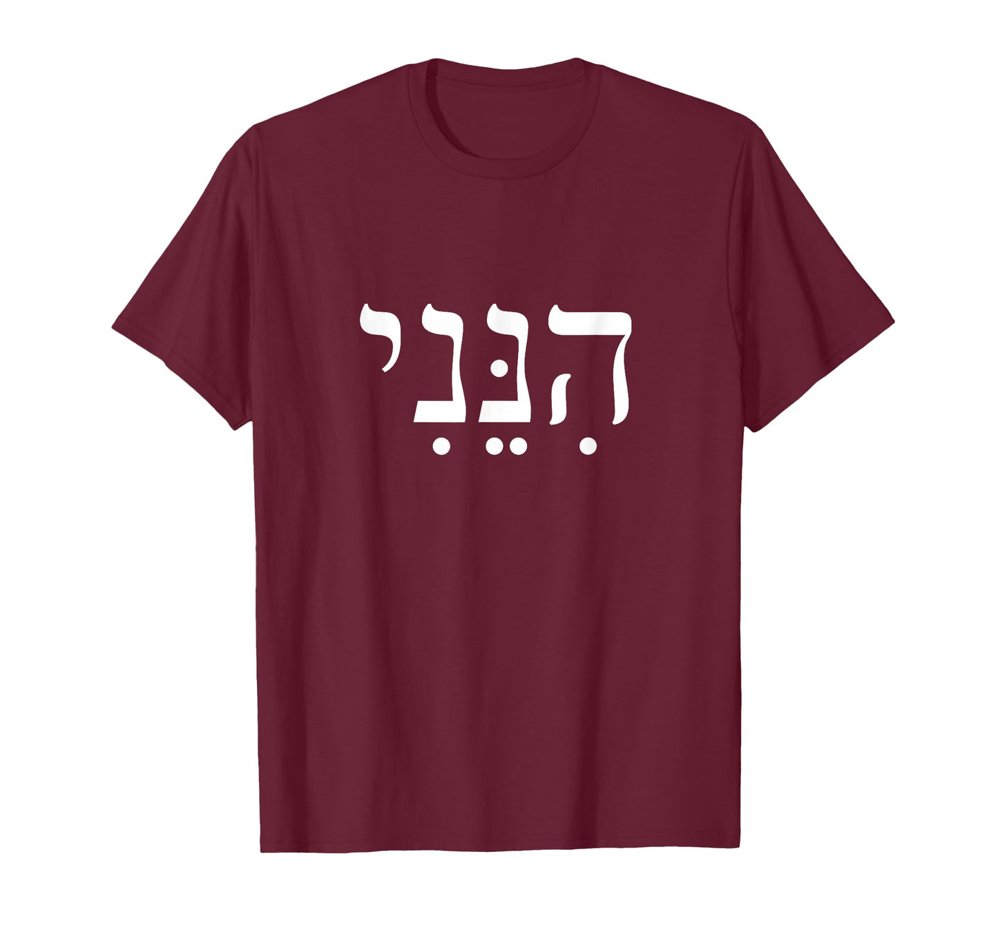Hineni Here I Am Hebrew Thank You Hashem Jewish Faith T-Shirt