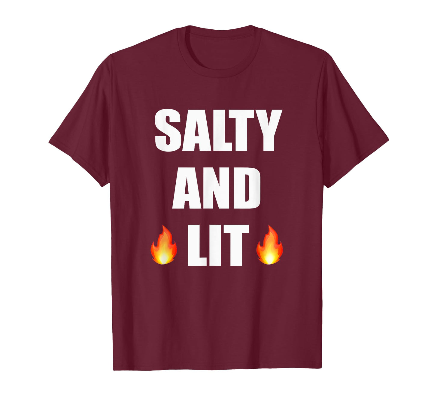 Salty And Lit T Shirt Christian Bold Faith Hope Joy Tee T-Shirt