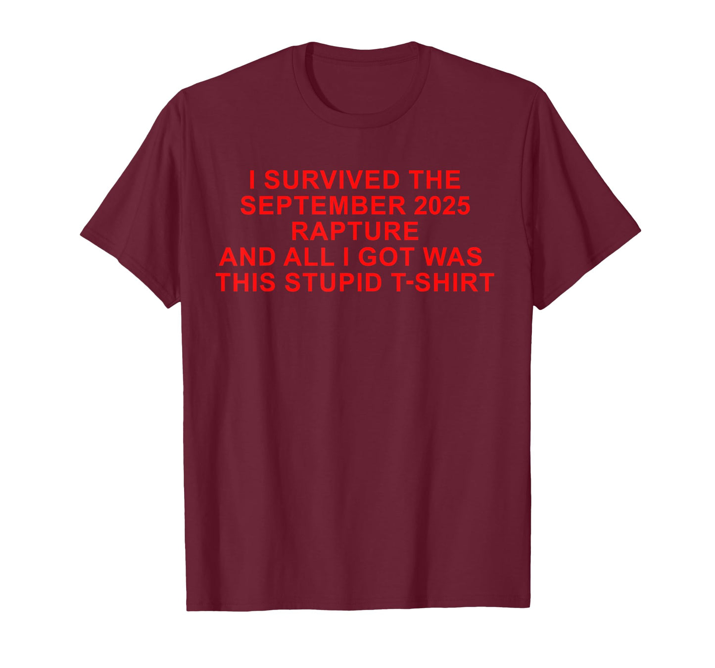 I Survived The Rapture of 2025 and All got was This Meme T-Shirt