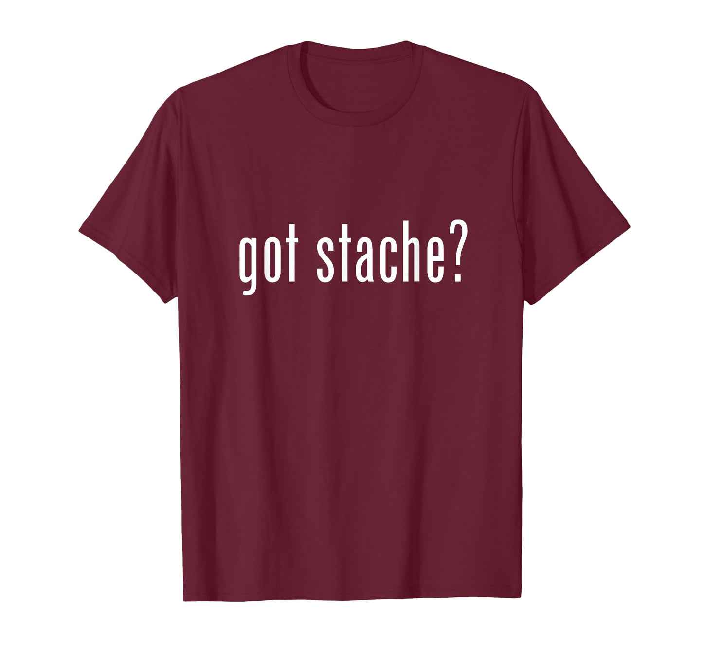 Got Stache? Respect The Stache Mustache Lovers Mustache Ride T-Shirt