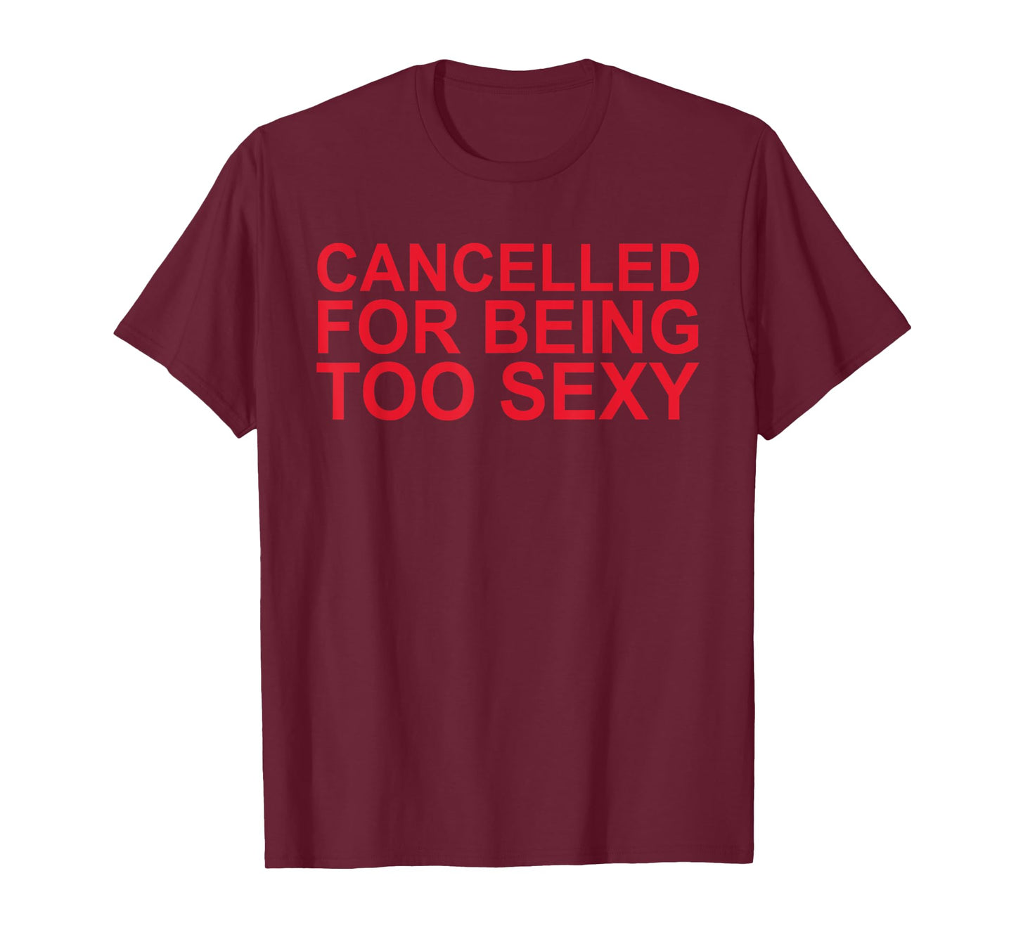 Cancelled For Being Too Sexy Funny T-Shirt