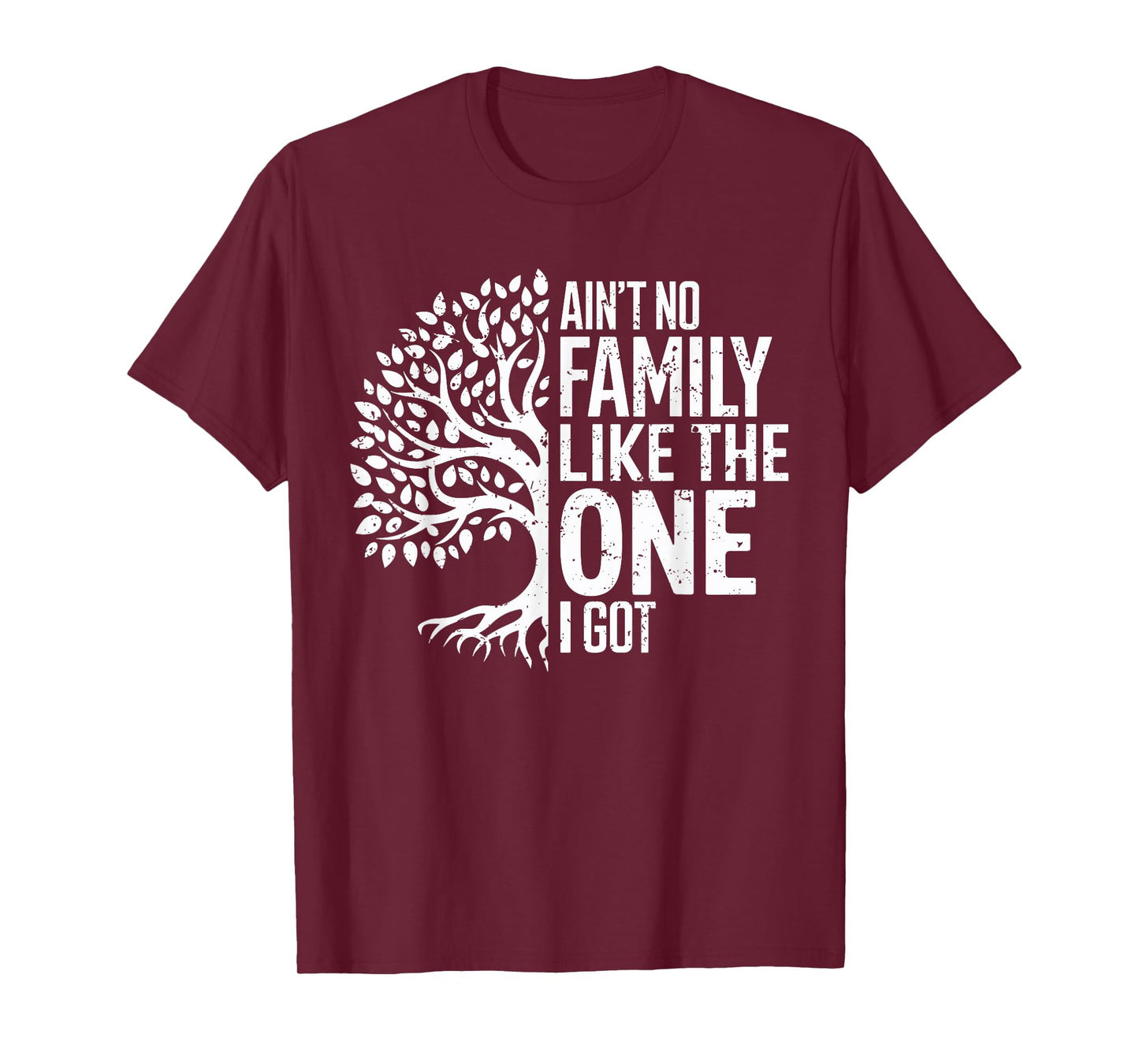 Ain't No Family Like The One I Got Funny Family Reunion 2025 T-Shirt