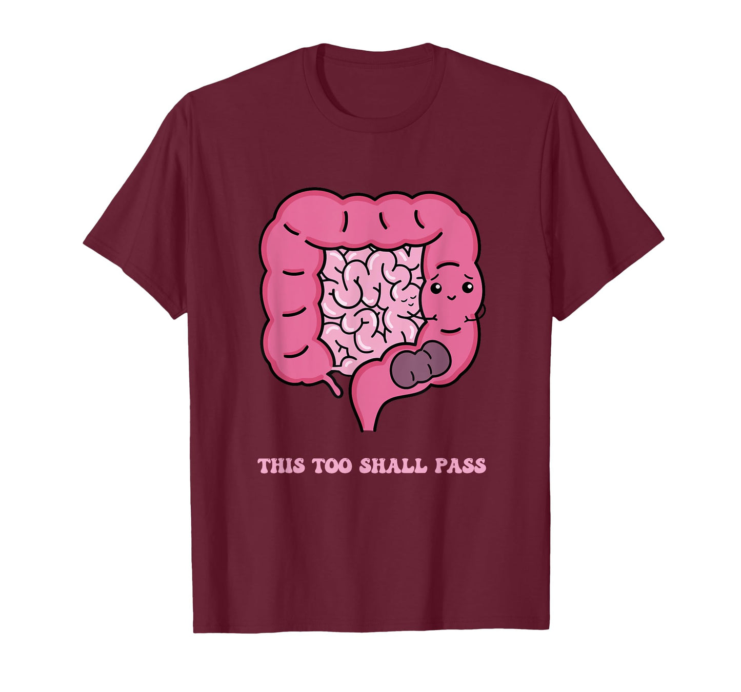 This Too Shall Pass Apparel T-Shirt