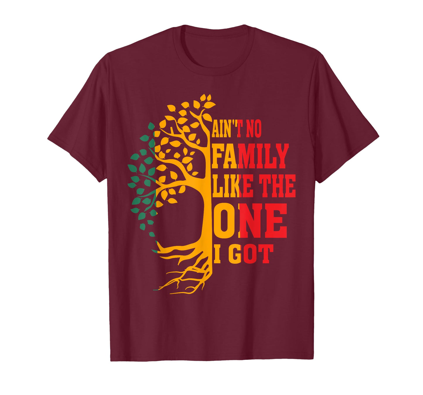 Ain't No Family Like The One I Got Funny Family Reunion 2024 T-Shirt