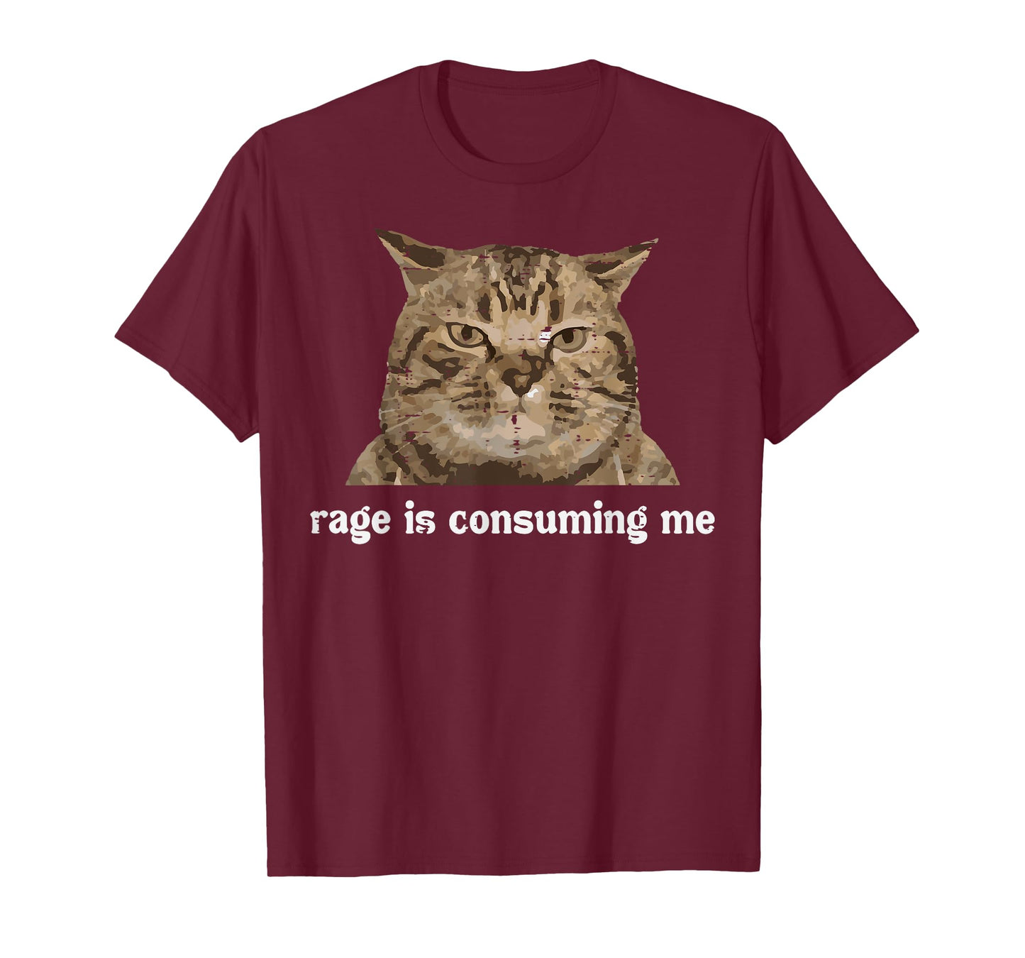 Rage Is Consuming Me Funny Cat Silly Saying Meme Women Men T-Shirt
