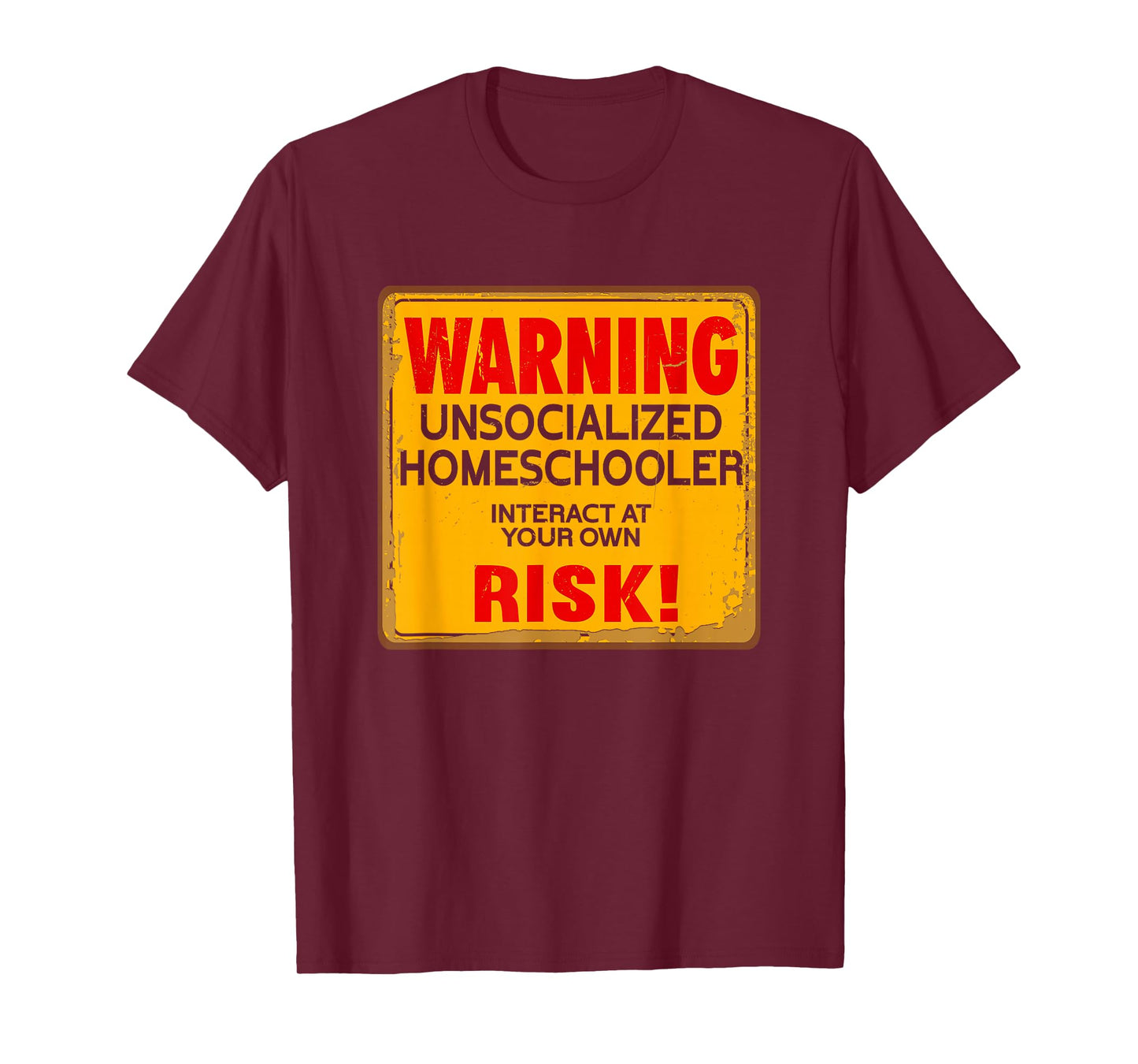 Funny Homeschool Homeschooler Home Lesson Introvert Student T-Shirt