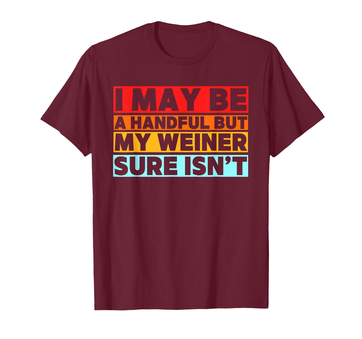 I May Be a Handful But My Weiner Sure Isn’t Funny Dachshund T-Shirt