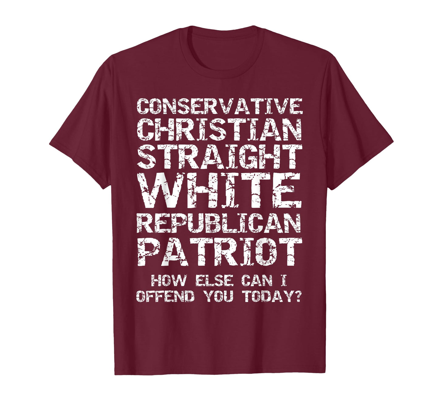 Conservative Christian Straight White Republican Patriot T-Shirt