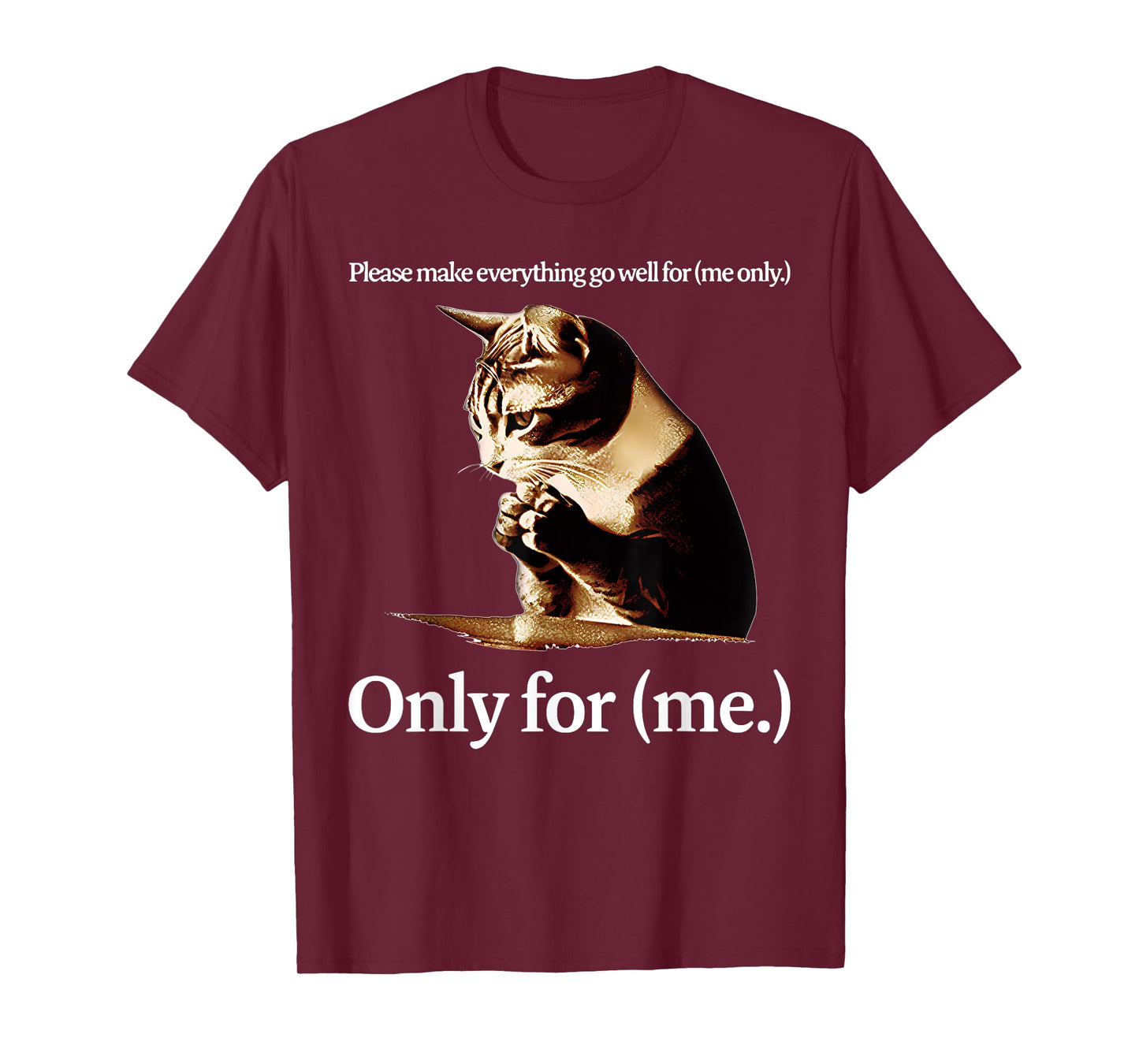 Cat Jesus Please Make Everything Go Well For Only For (Me) T-Shirt