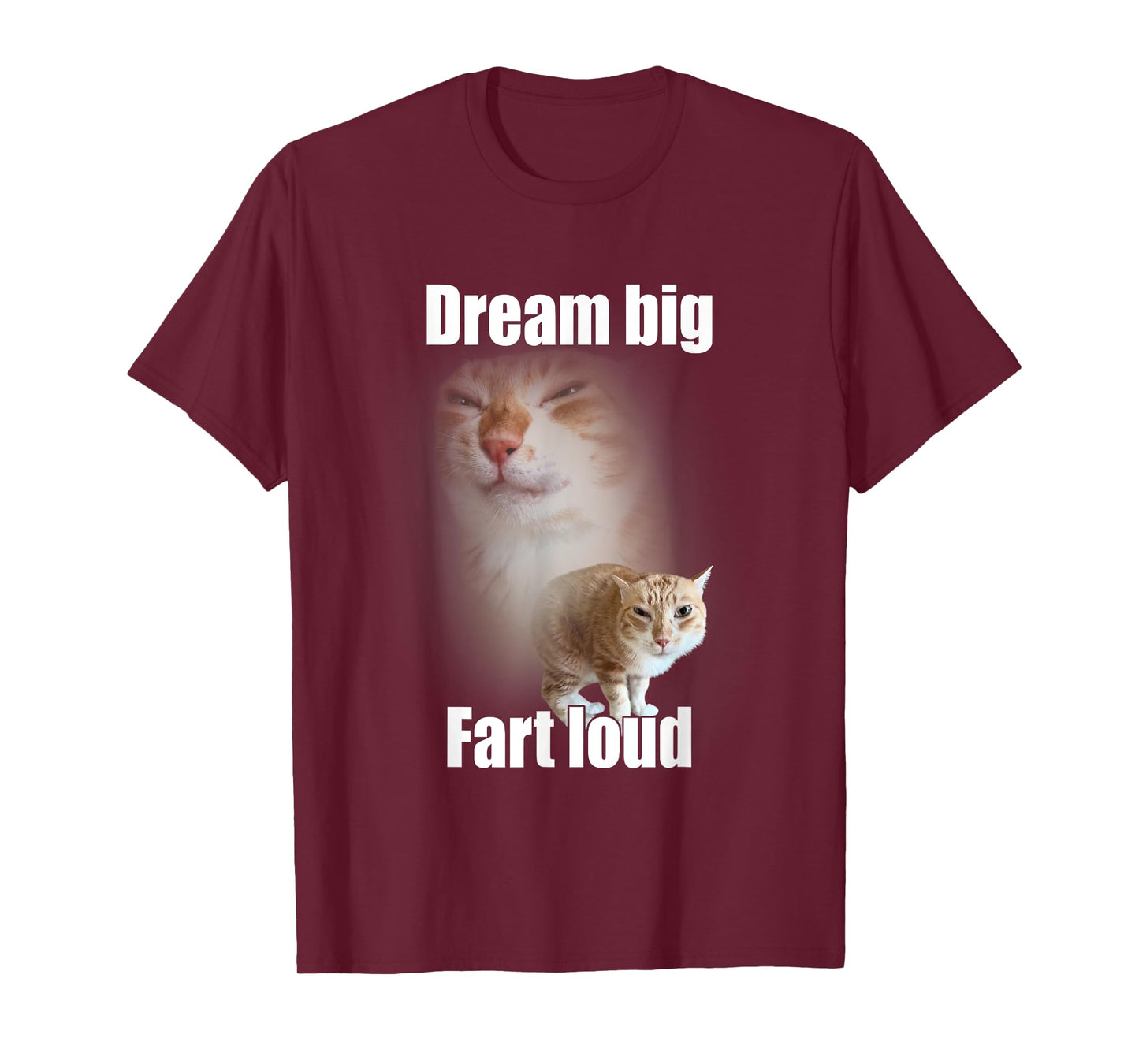 Dream Big Fart Loud Cat Meme Funny Saying Men Women T-Shirt