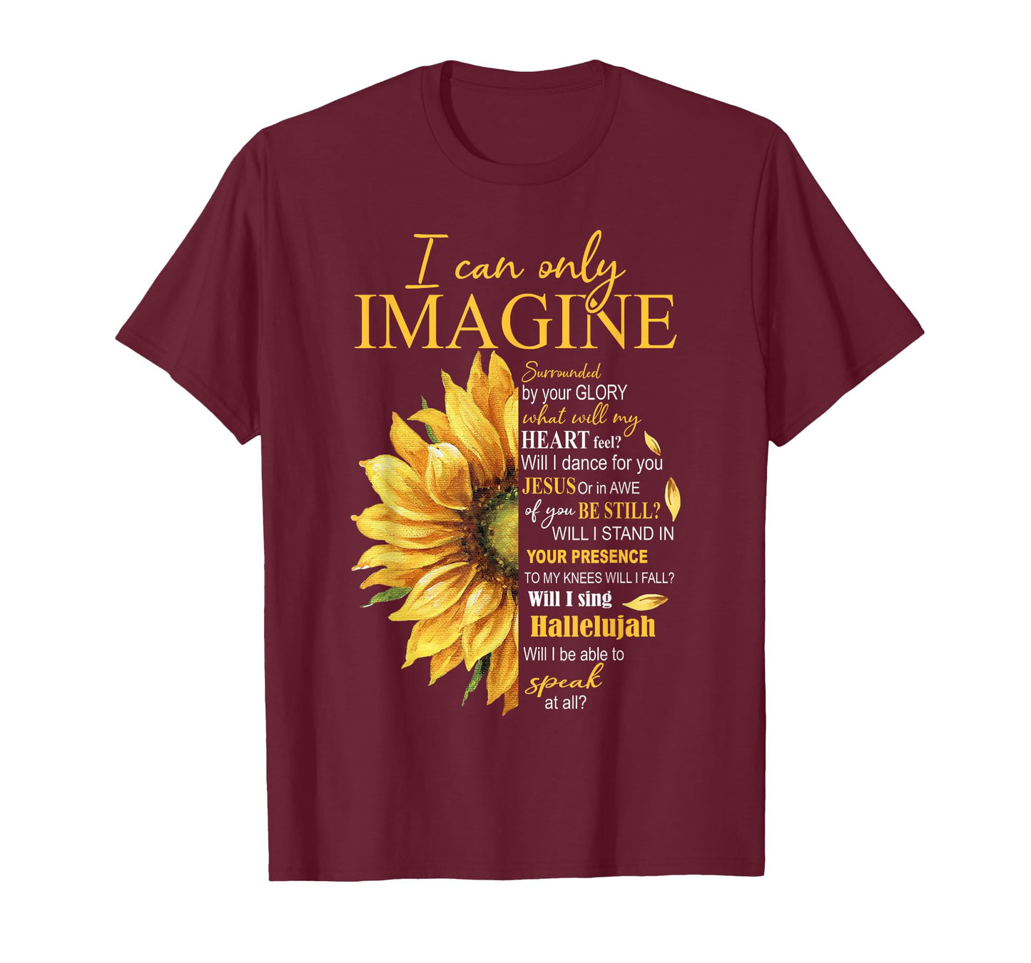I Only Can Imagine Faith Christian Catholic Jesus God Lover T-Shirt