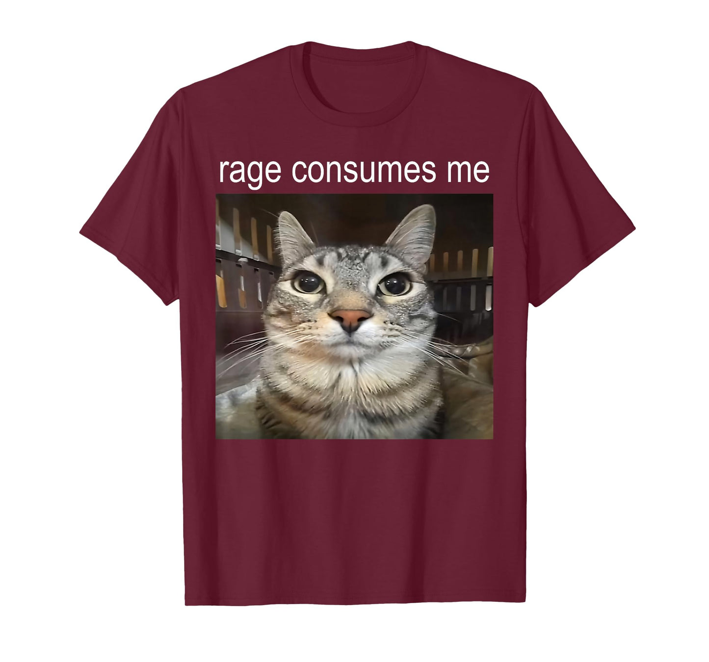 Funny Cat Meme Quote Retro Cat Lover Rage Consumes Me T-Shirt