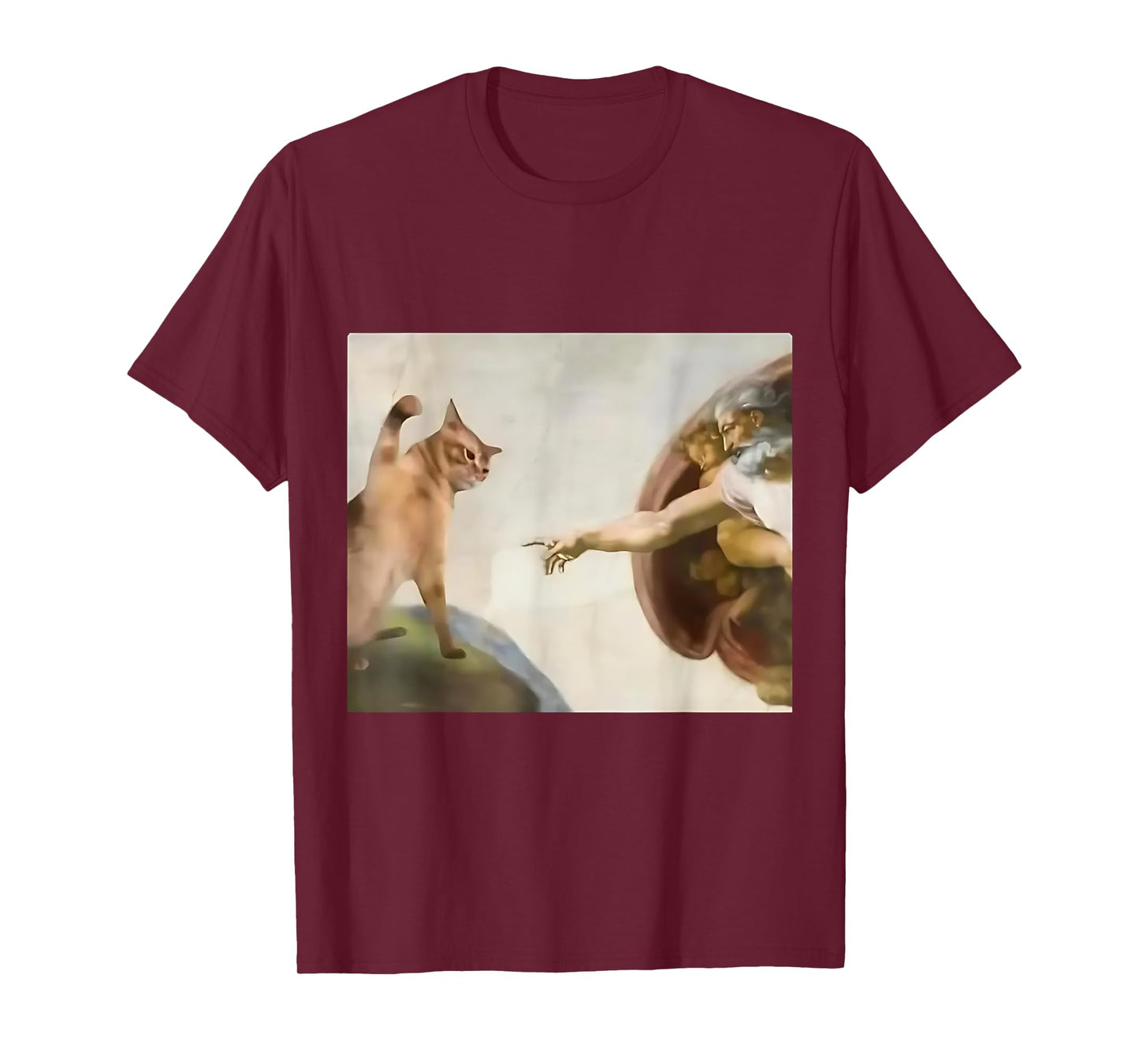 Funny Cat God Creation Of Adam Jesus Gen Z Meme Gifts T-Shirt
