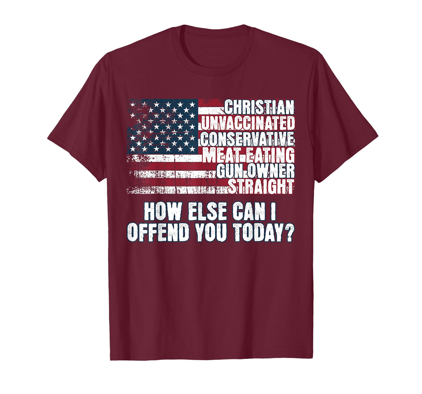 Christian Conservative... How Else Can I Offend You Today T-Shirt