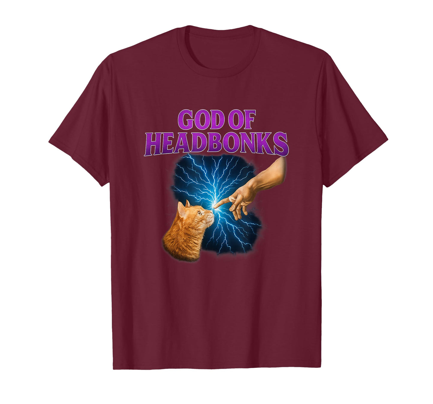 Funny Hand of God Cat T-Shirt