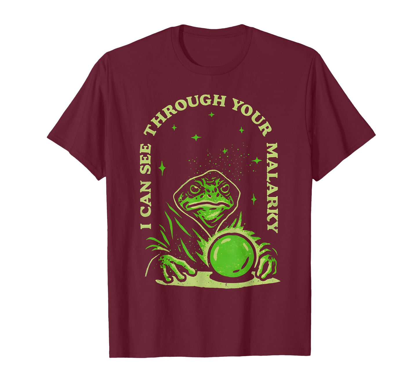 I Can See Through Your Malarky Frog Wizard T-Shirt