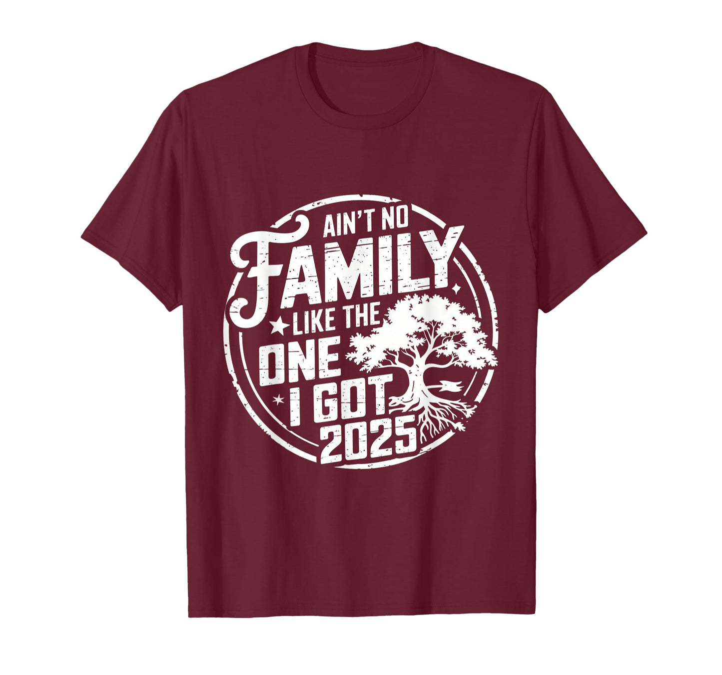 Ain't No Family Like The One I Got Reunion 2025 funny T-Shirt