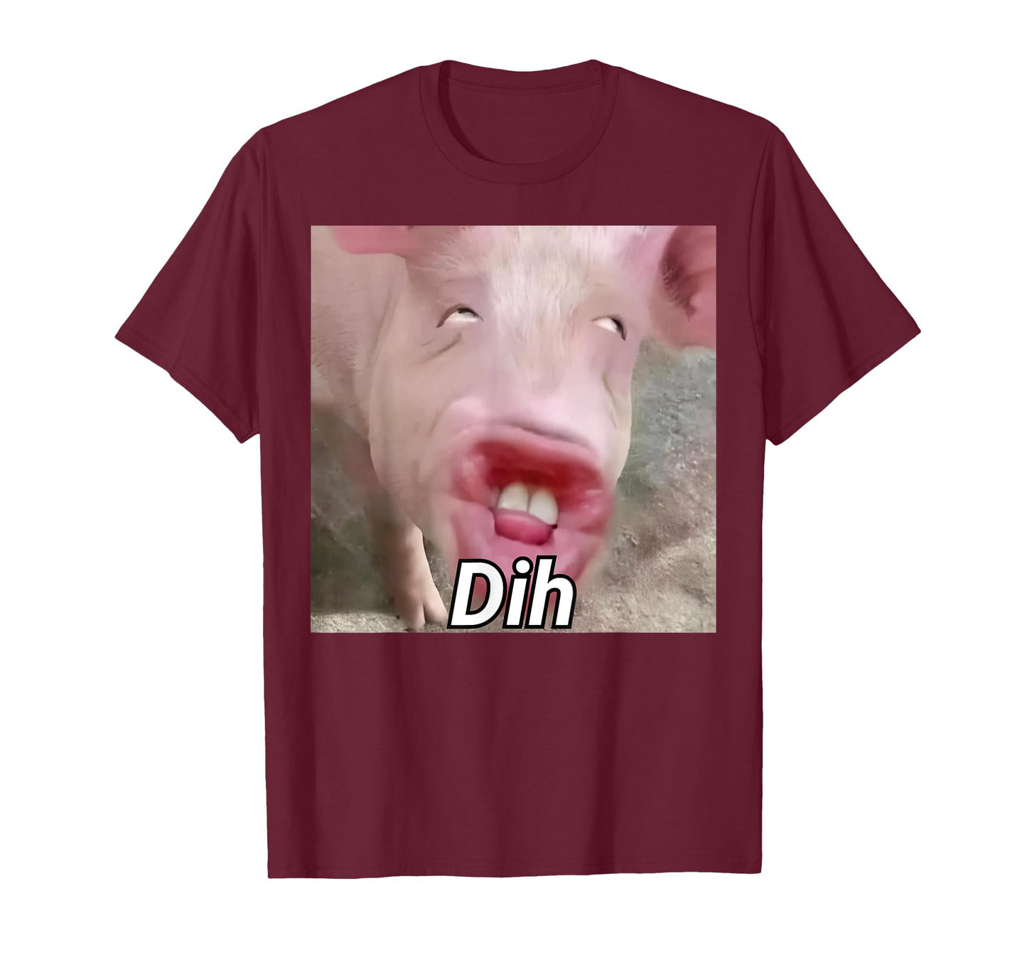 funny dih brainrot gen z humor pork meme dihh meme gen alpha T-Shirt